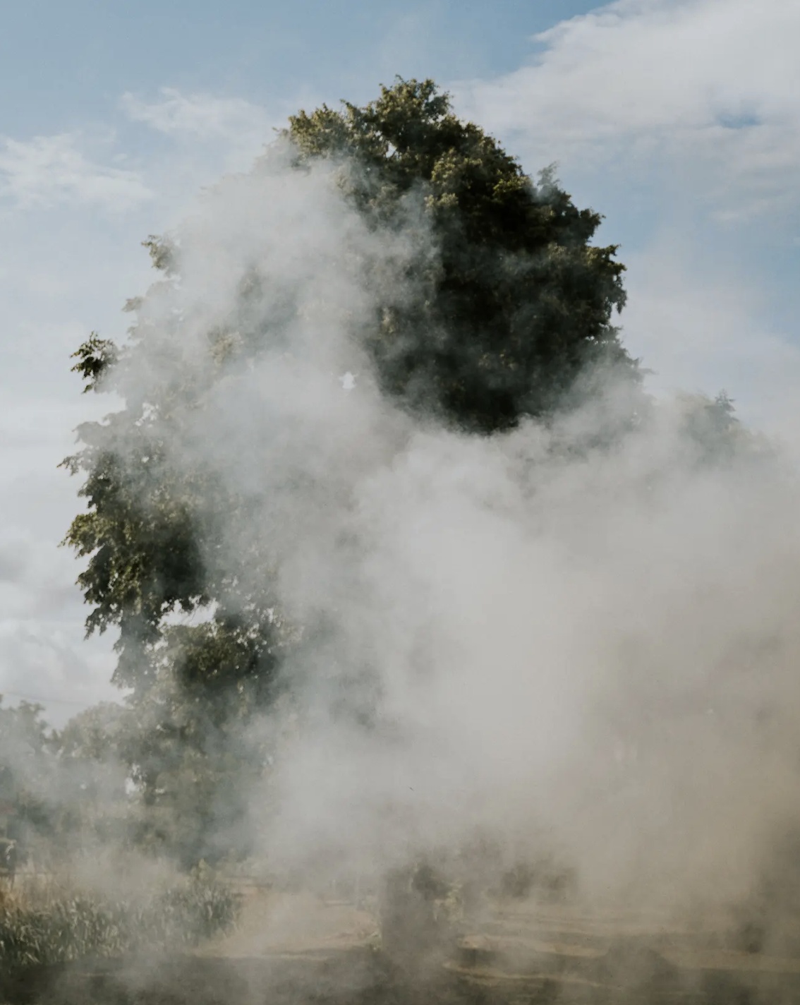 A large tree with smoke or mist surrounding its trunk and lower branches against a partly cloudy sky.