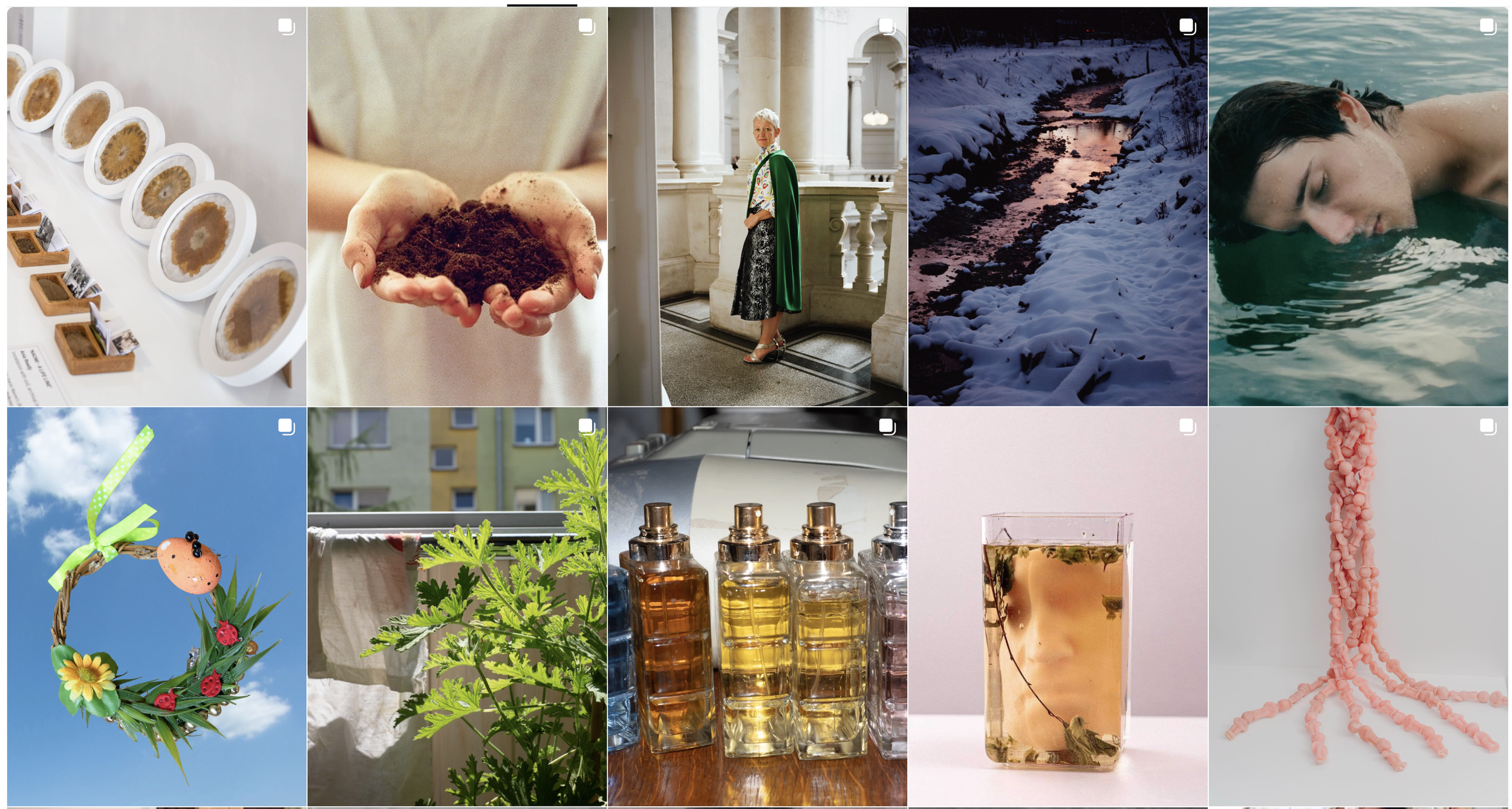 Collage of ten images including a display of essential oils, a person holding soil, a woman dressed elegantly in a historic or formal setting, a snowy landscape near a river, a woman swimming in water, a decorative wreath with a ladybug ornament, a clothesline with laundry, small bottles of essential oils, a glass of infused tea, and a pink coral-like sculpture.