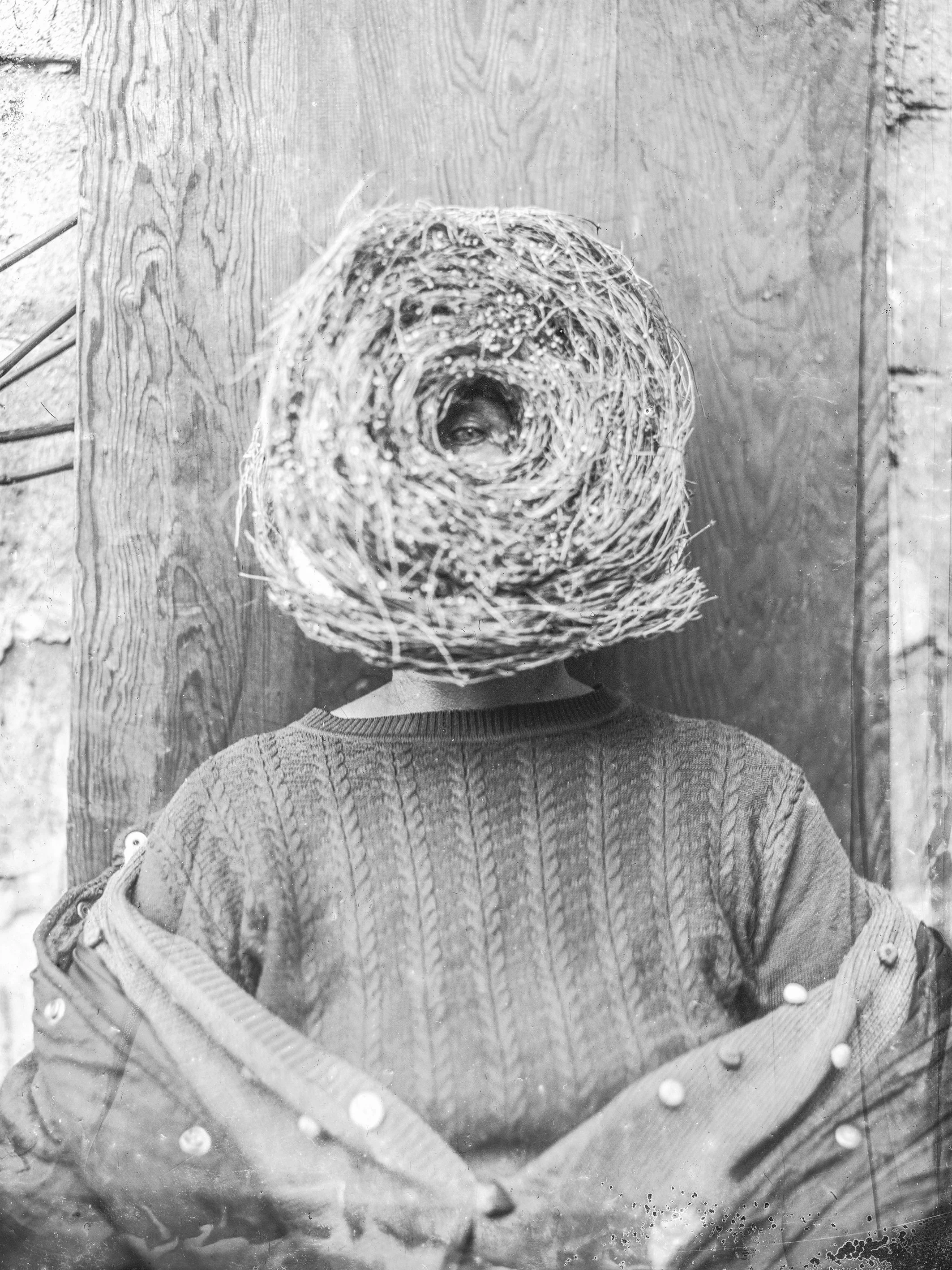 Person with a sweater, sitting in front of a wooden background, has a large nest over their head, covering their face.