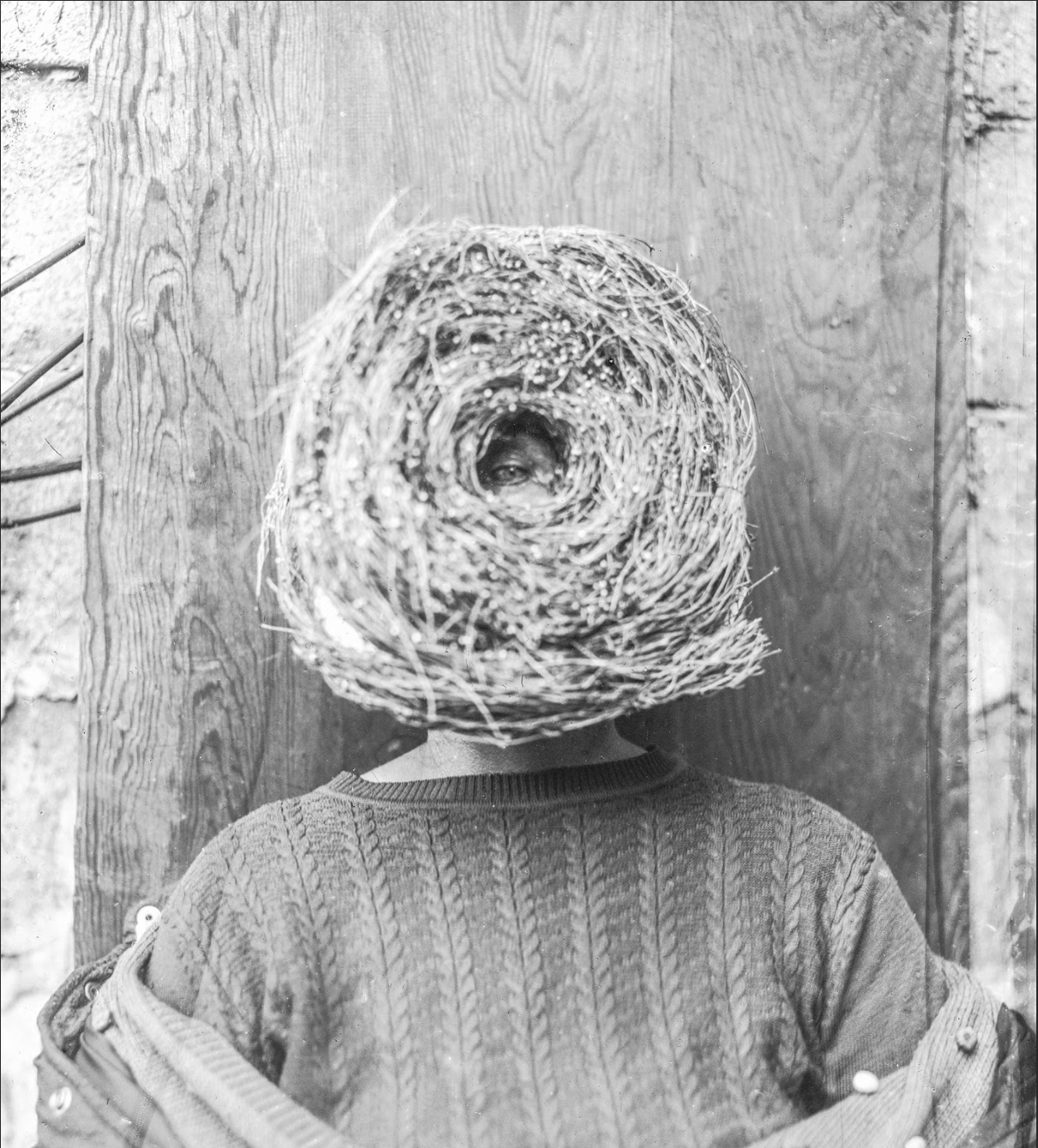 Person with head replaced by a bird's nest, standing against a wooden wall, wearing a knitted sweater.
