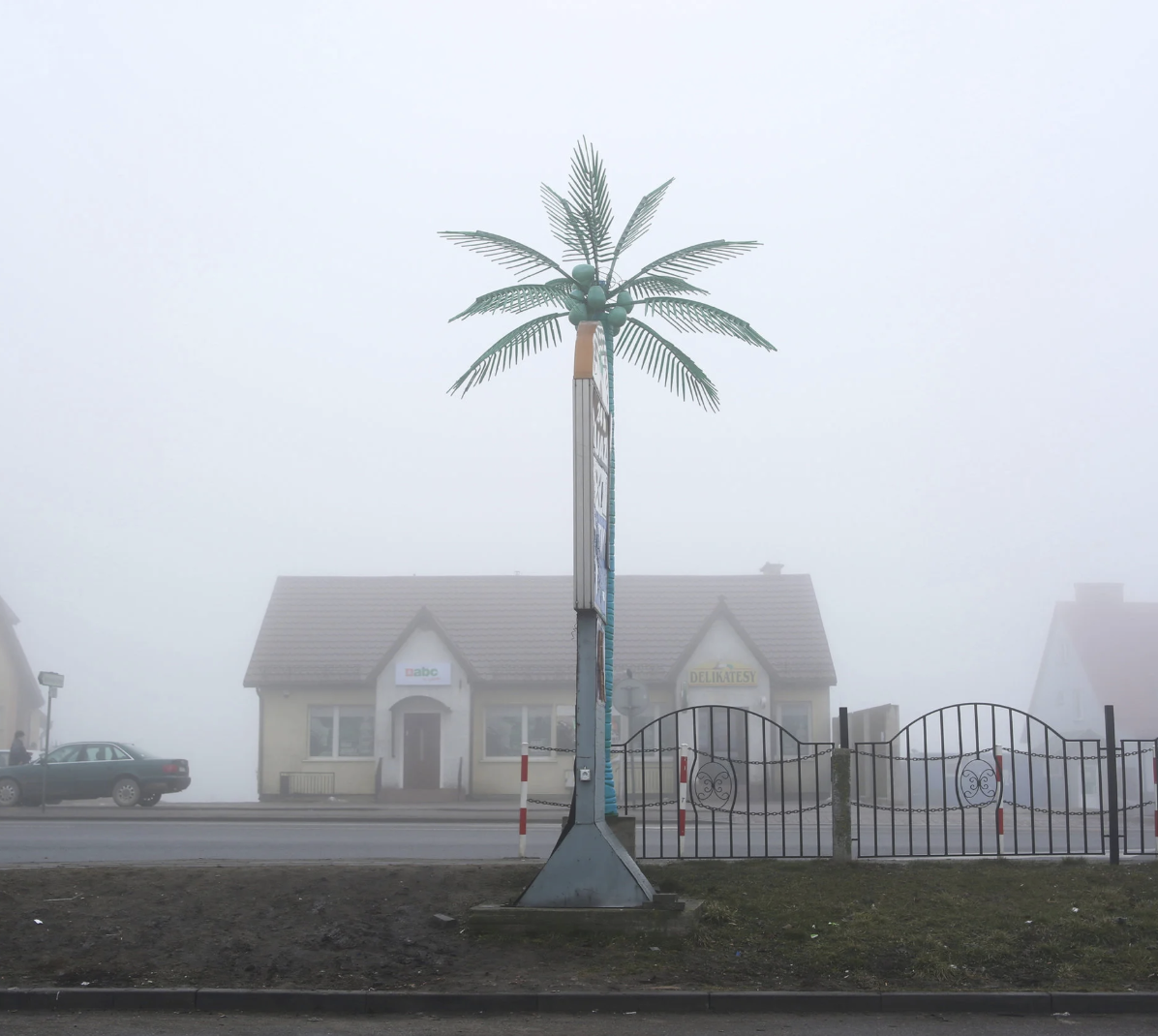 Prototype palm tree street decoration on a foggy day in front of small shops and a fence.
