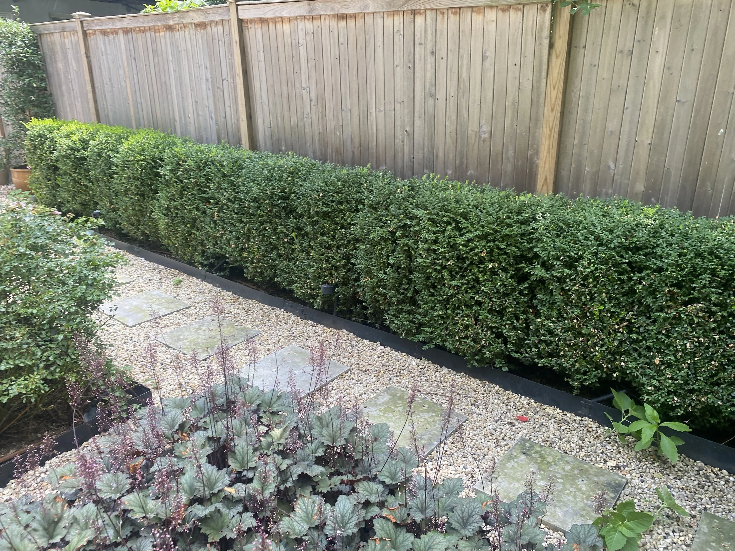 10 - Hell's Kitchen after 5.jpg