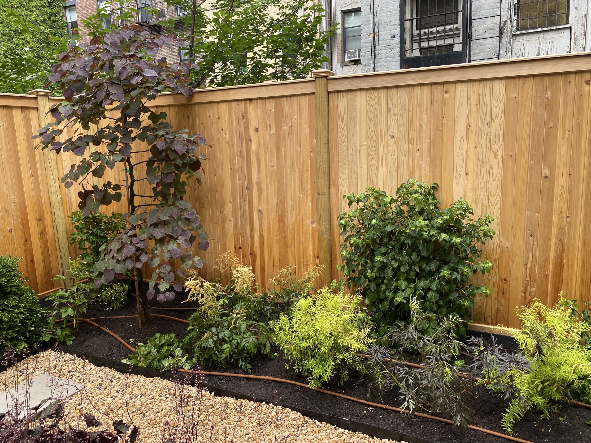 8- Hell's Kitchen after .jpg