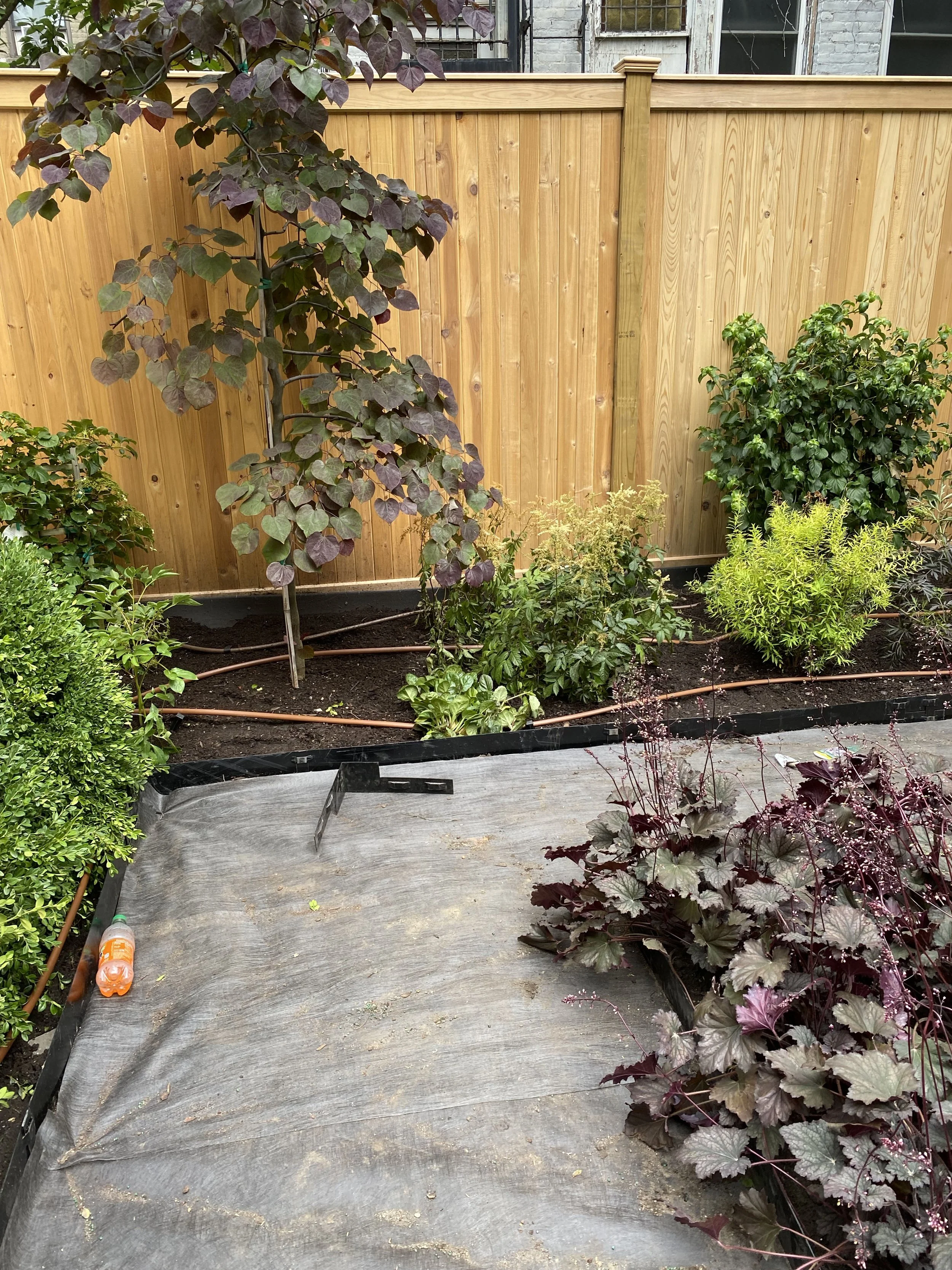 7 - Hell's Kitchen Construction 3.jpg