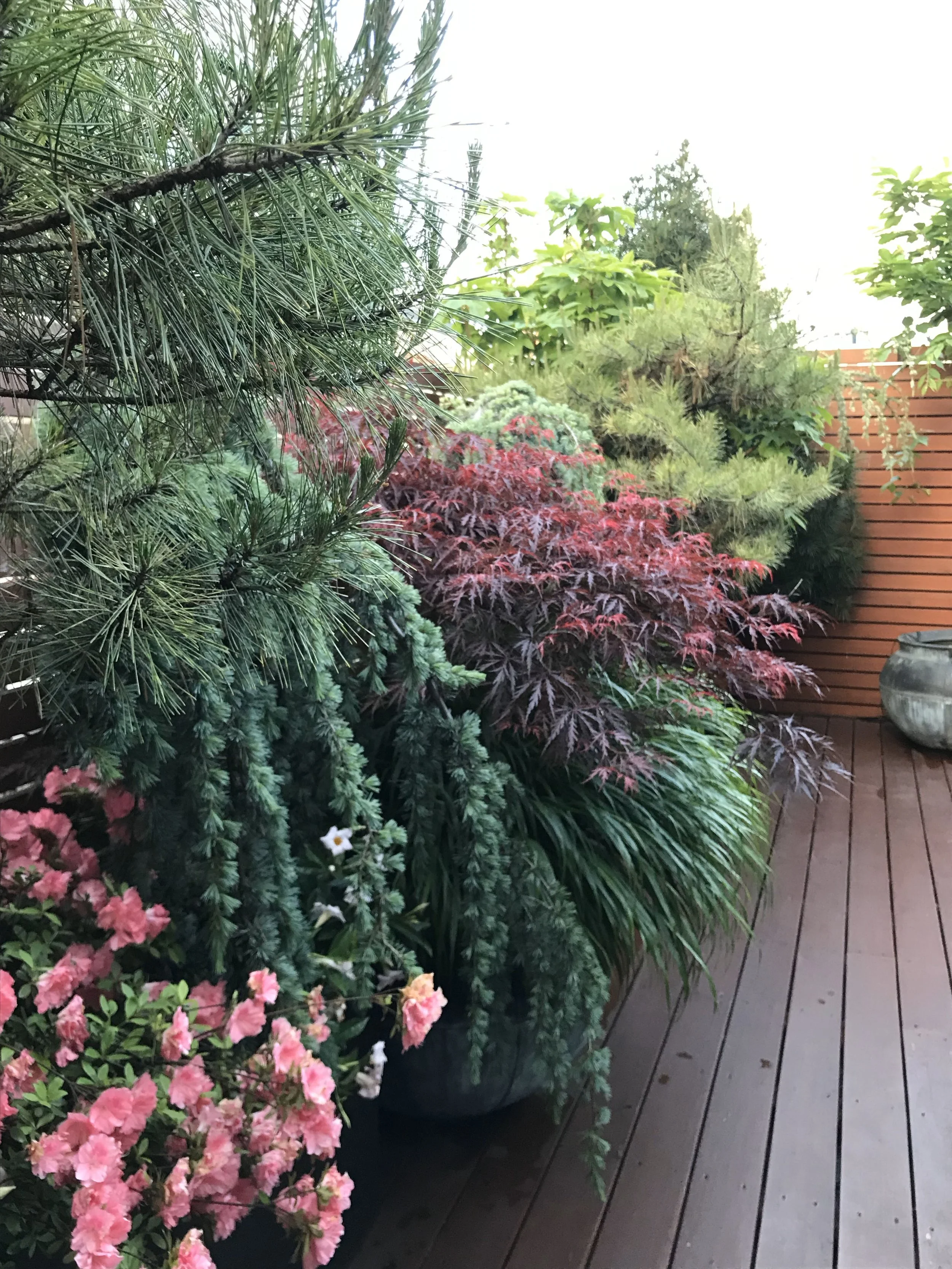 12 DWNTWN Penthouse Loft North terrace1 copy.jpg