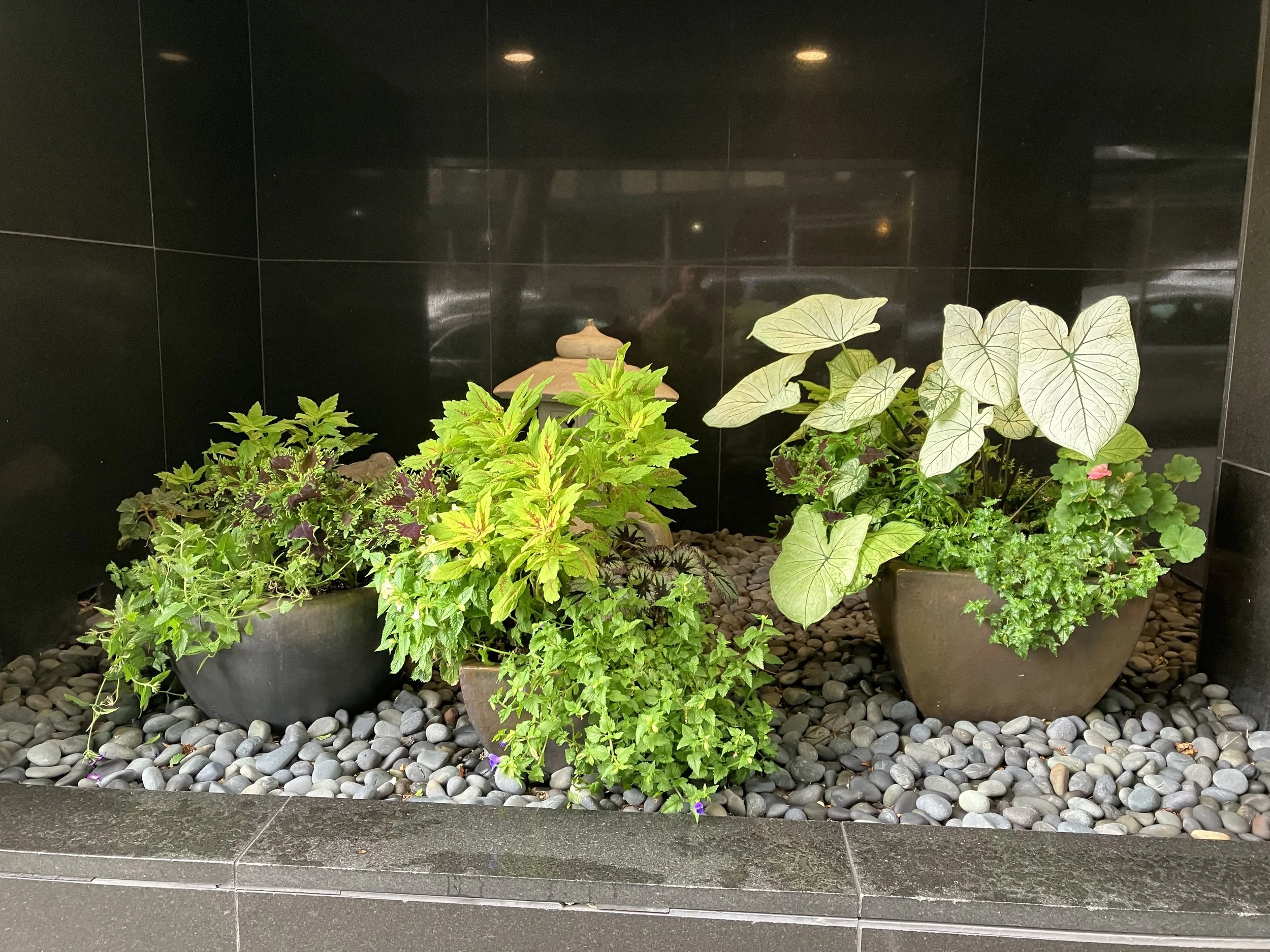 Riverside Drive 2.jpg