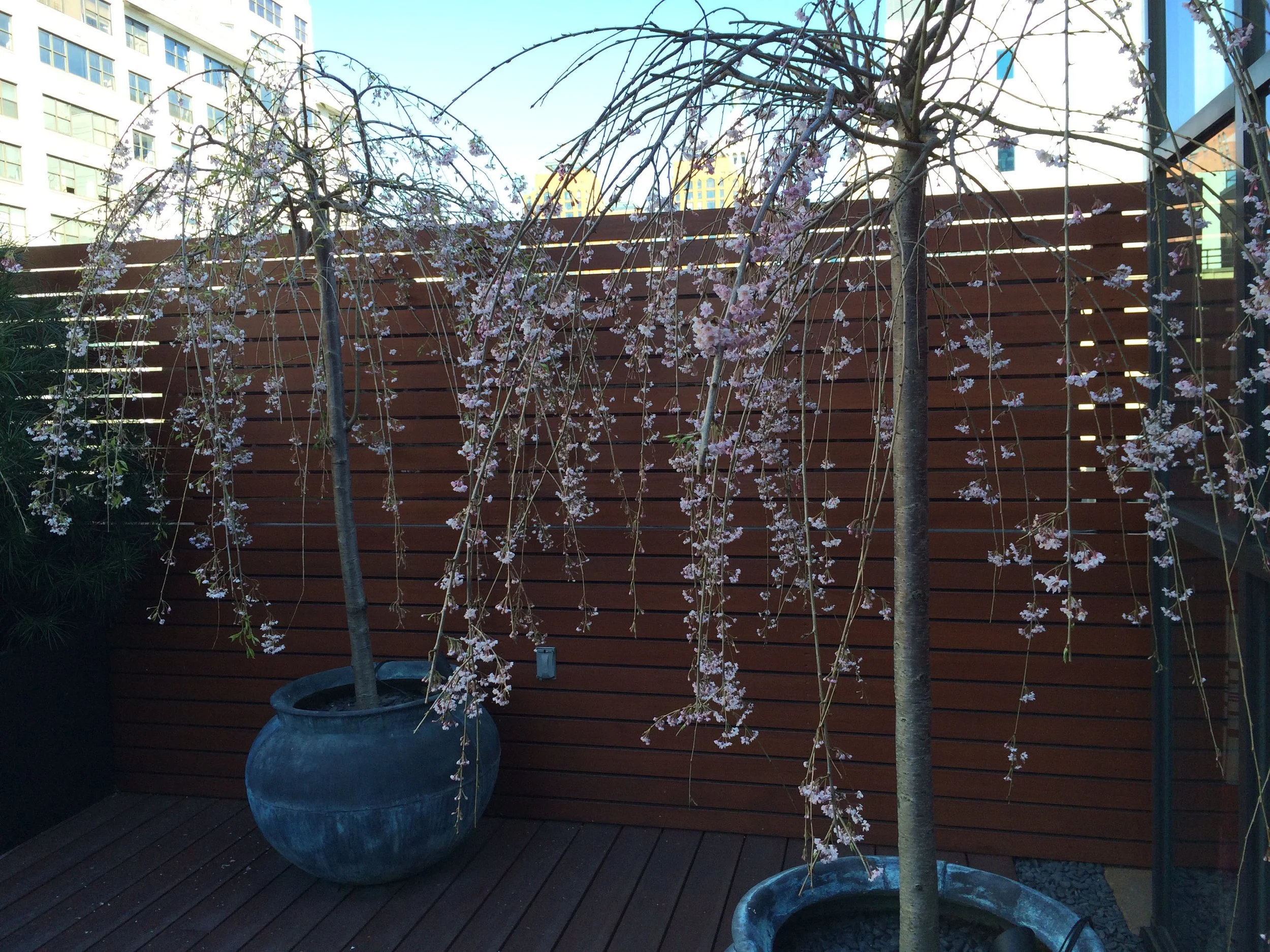 15 Downtown Penthouse Loft North Terrace.jpg