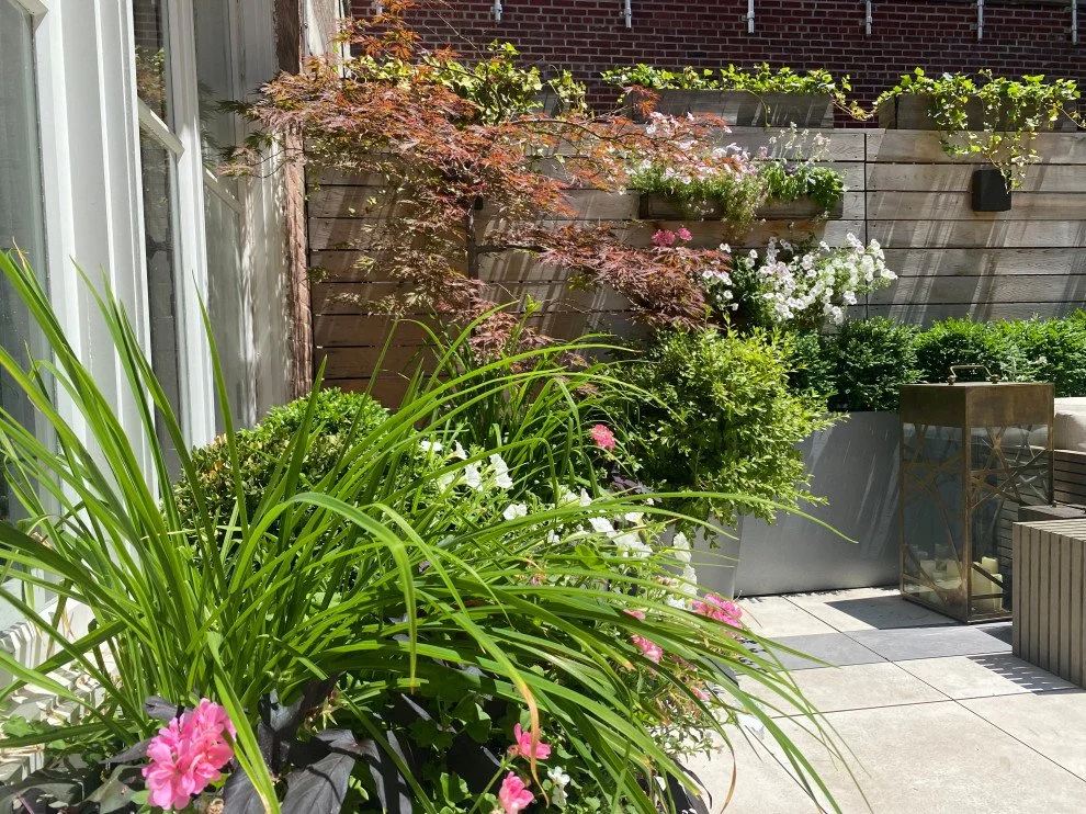 UWS Townhouse Terrace