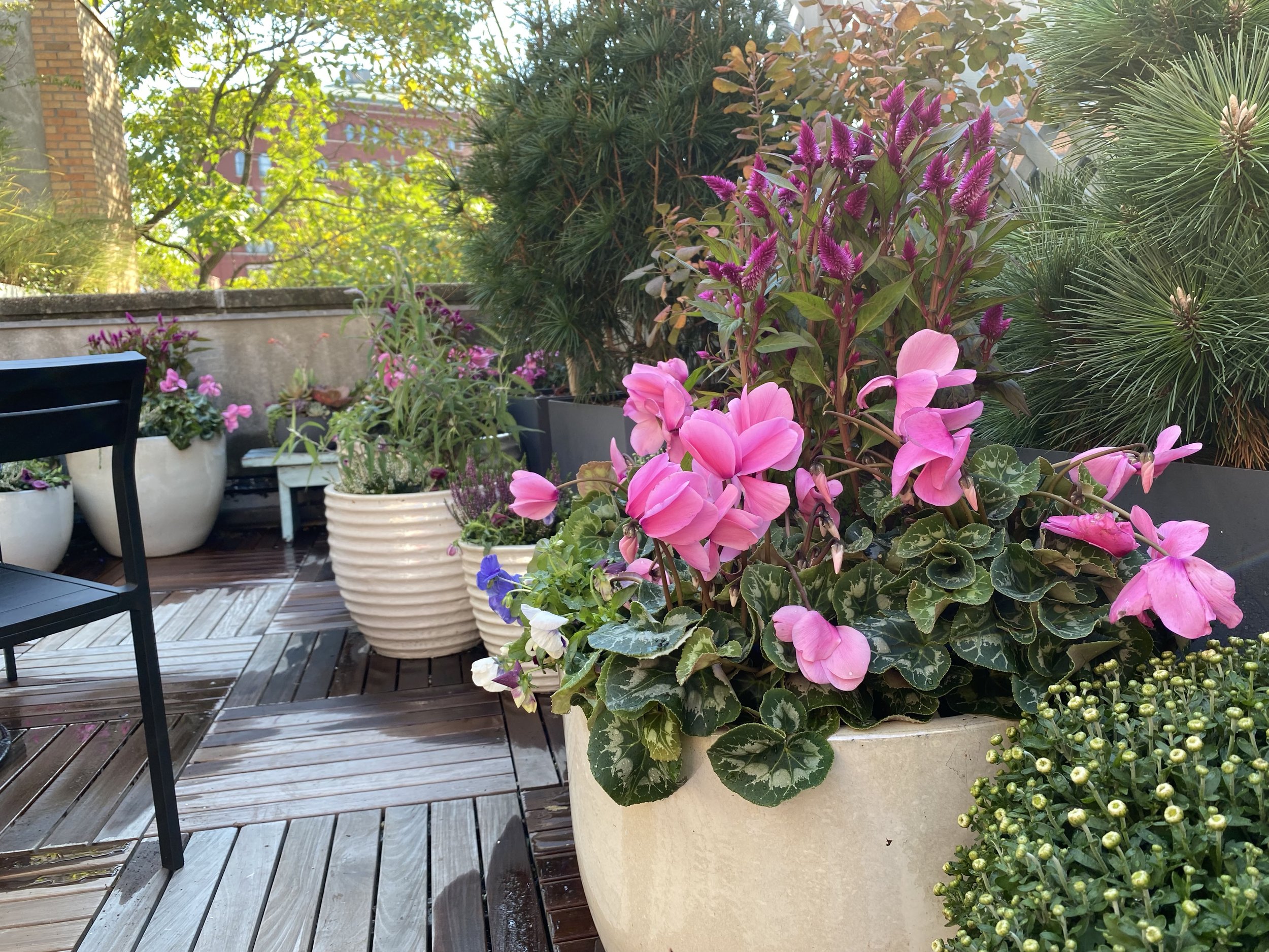 West Village Cottage Garden 9.jpg