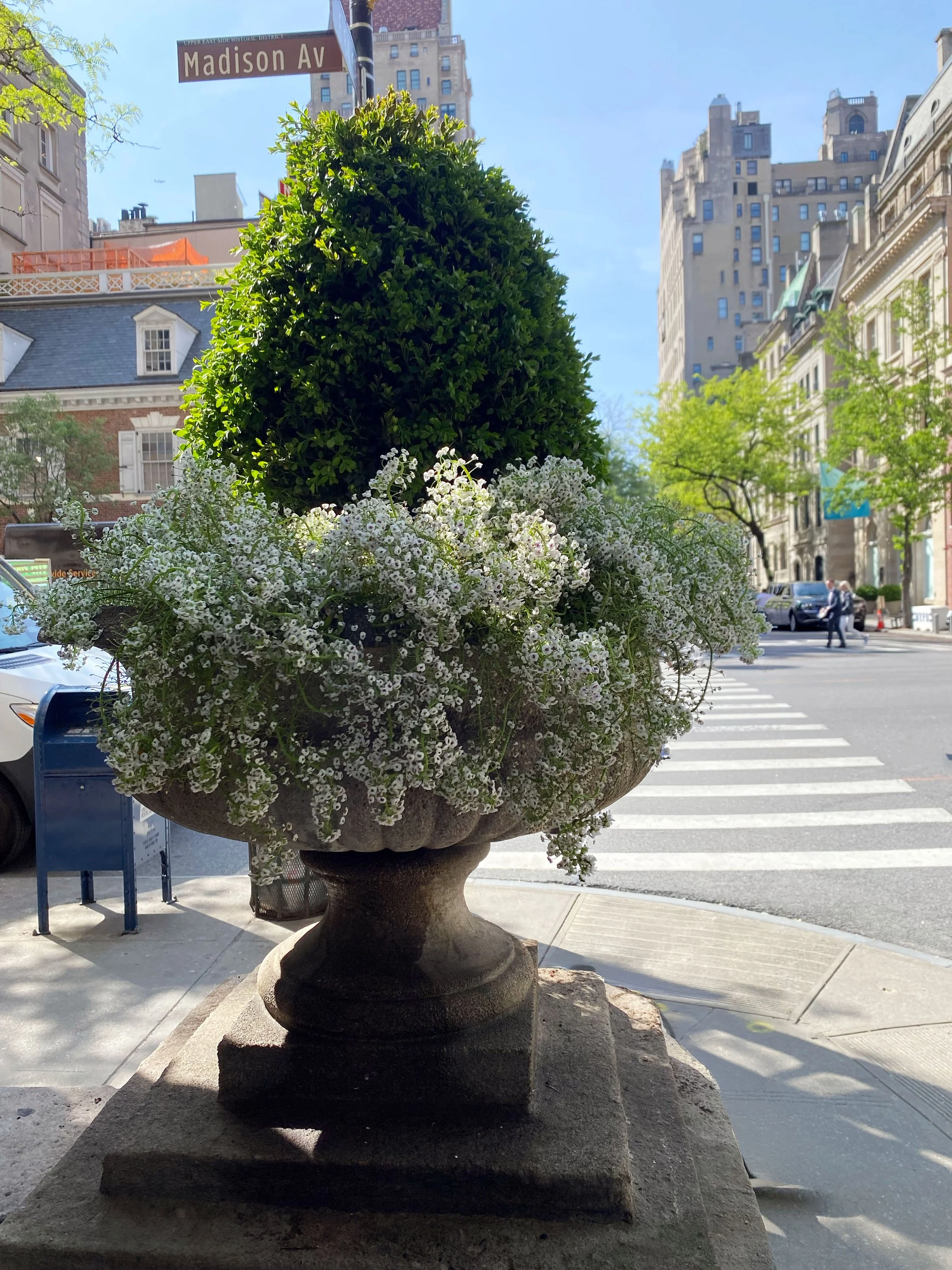 Verona 1 Urns in Full Bloom-removed.jpg