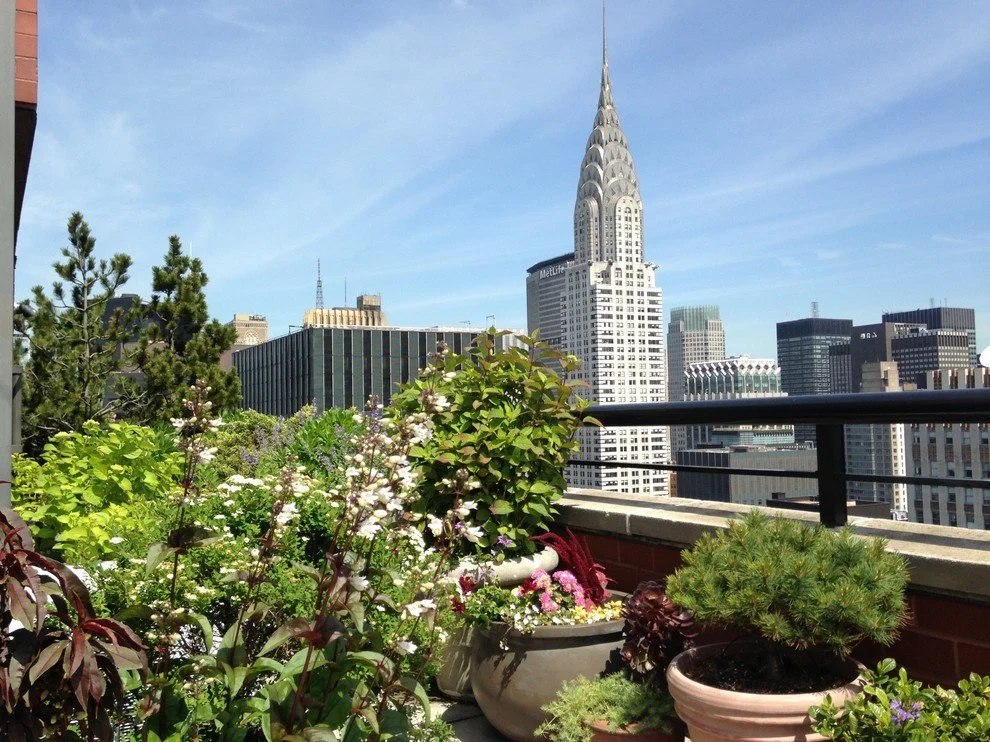 Midtown East Terrace