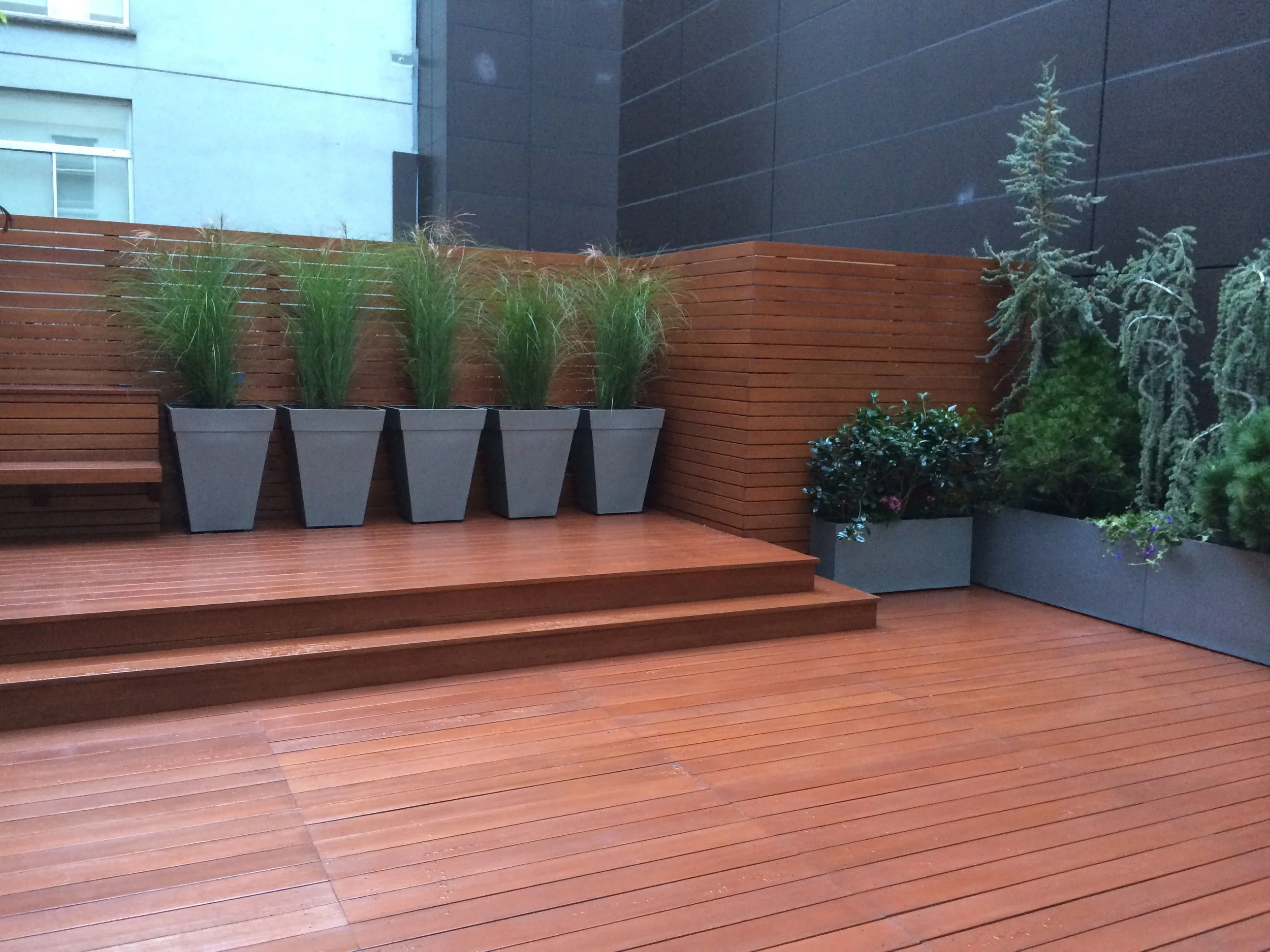 2 - shukh when new.1 copy.jpg