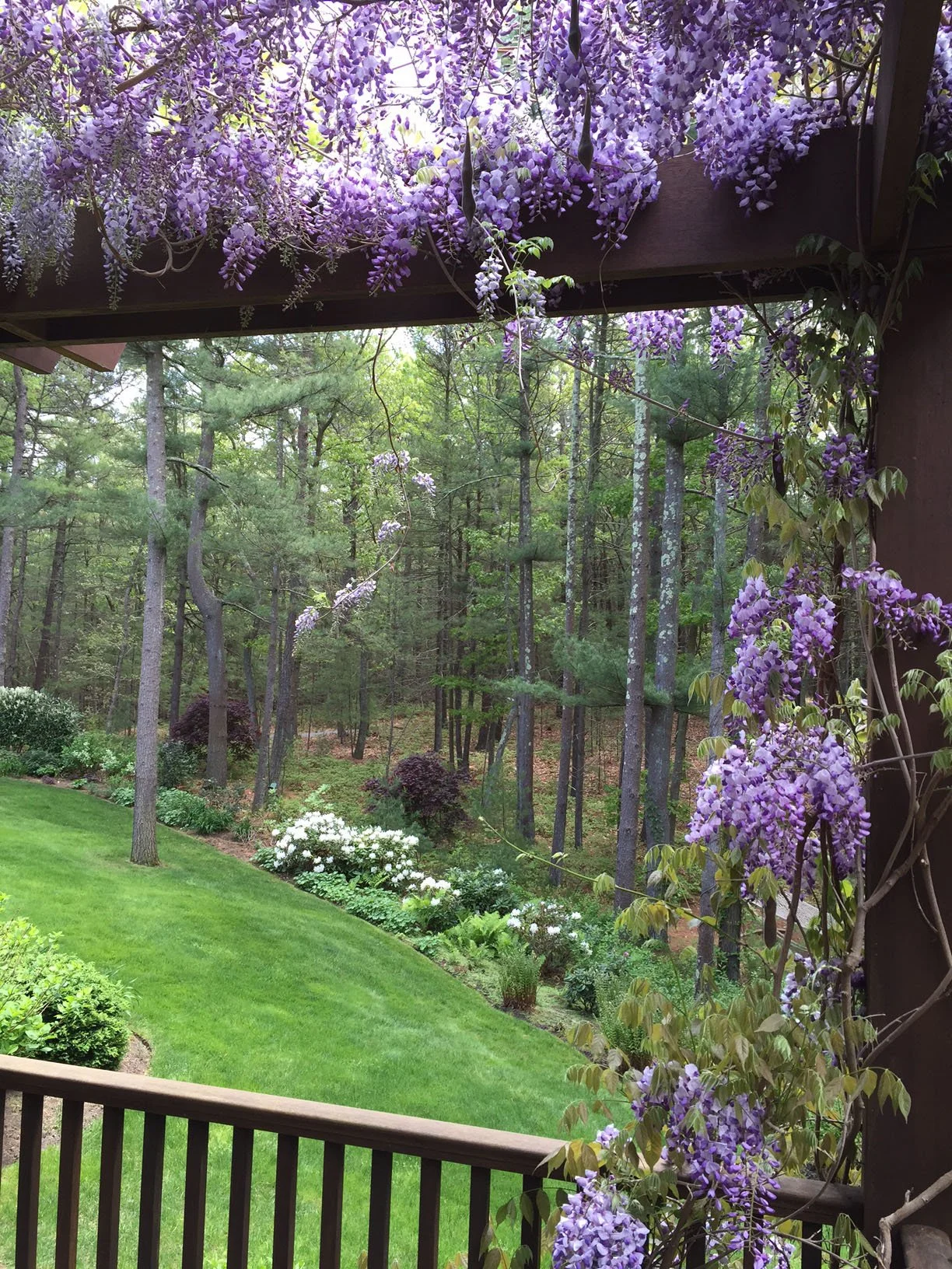 Bull Path East Hampton.jpg