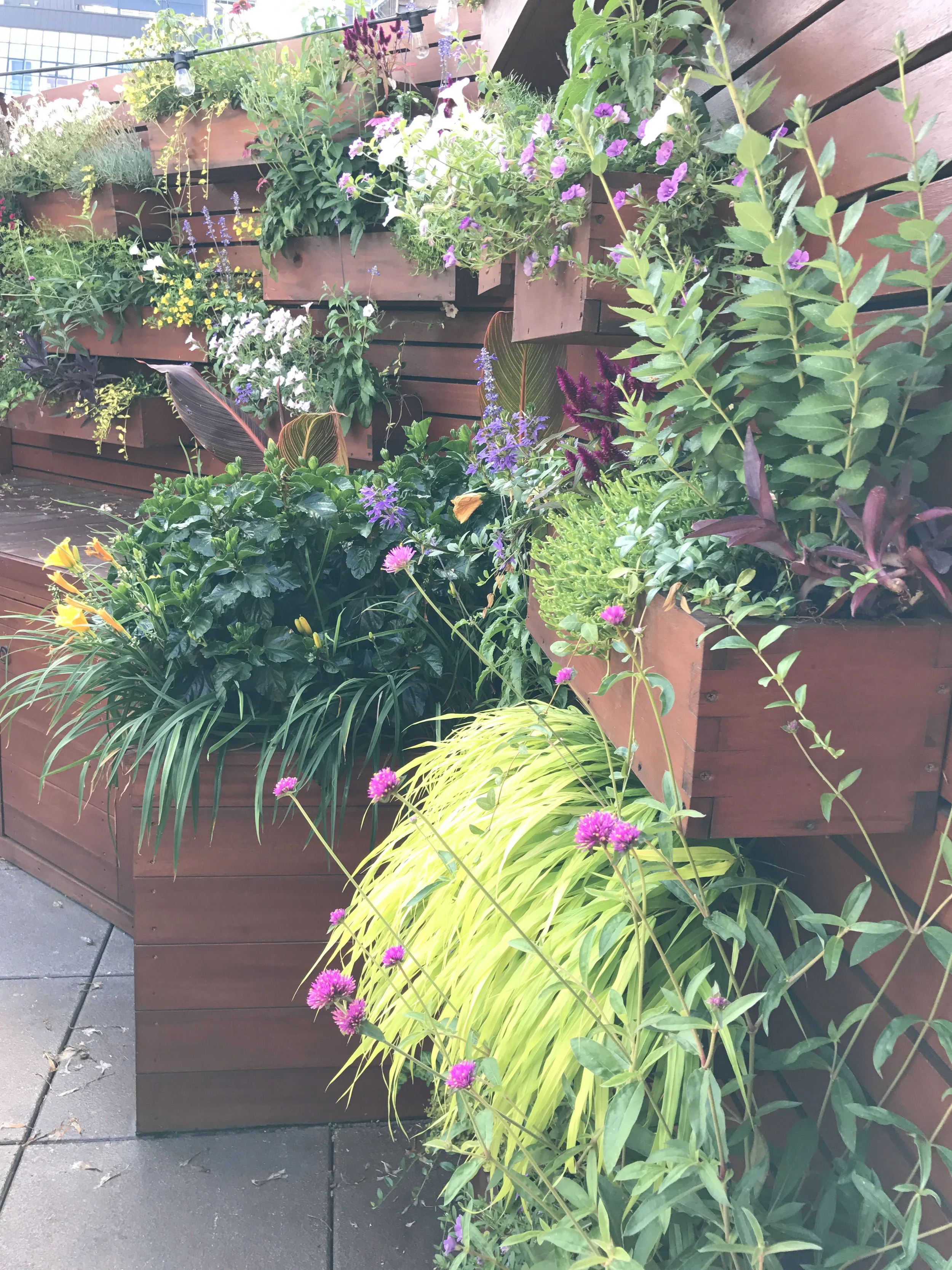 10 Downtown Loft Green wall copy.jpg