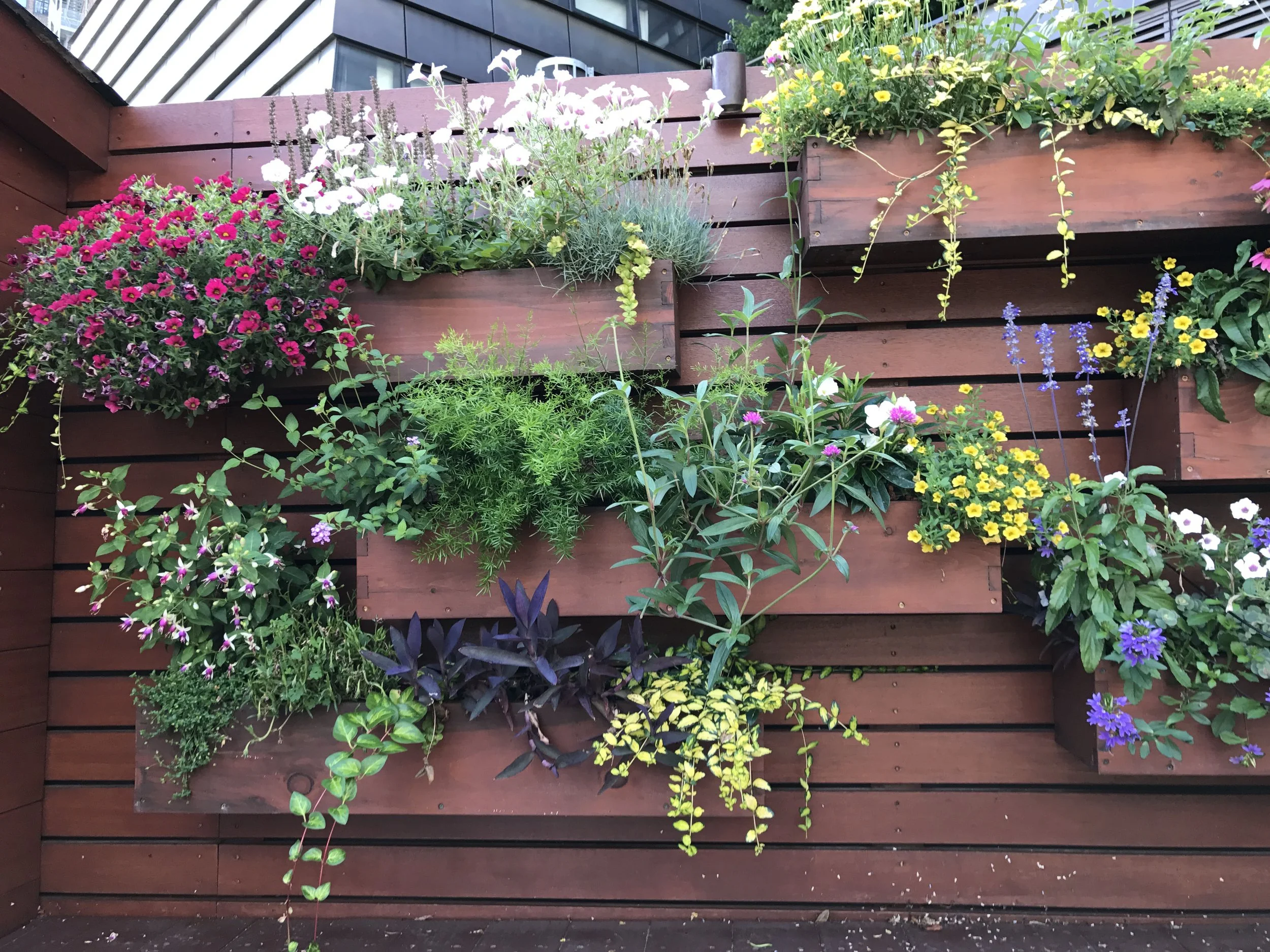 6 Downtown Loft GreenWall2 copy.jpg