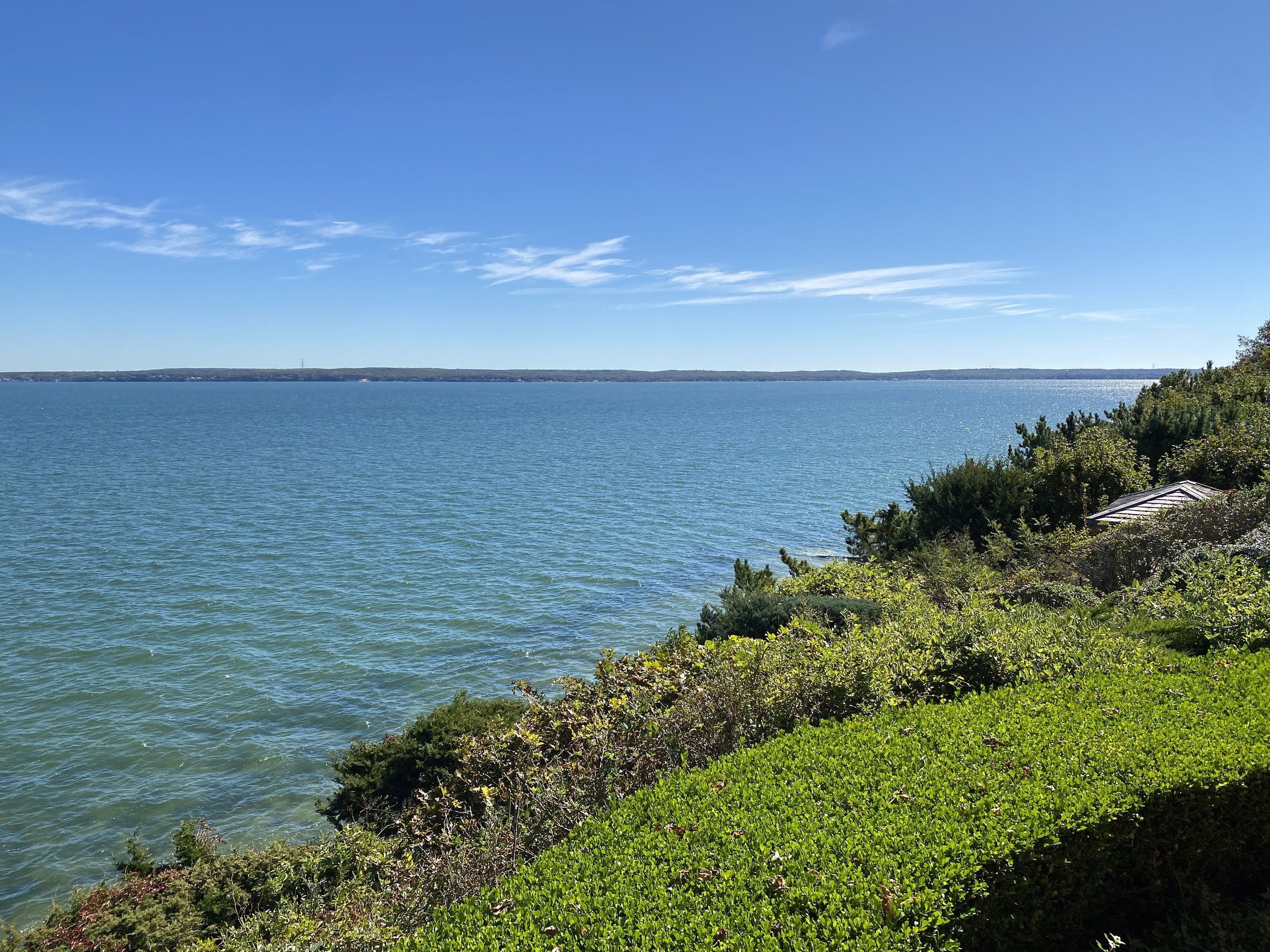 6 - Cutchogue Bluff Mid-Season.jpg