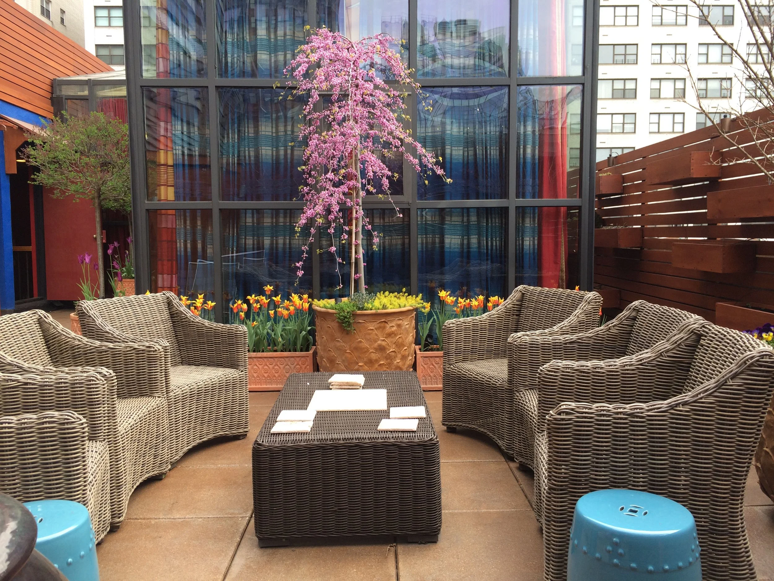 2 Downtown Loft redbud.jpg