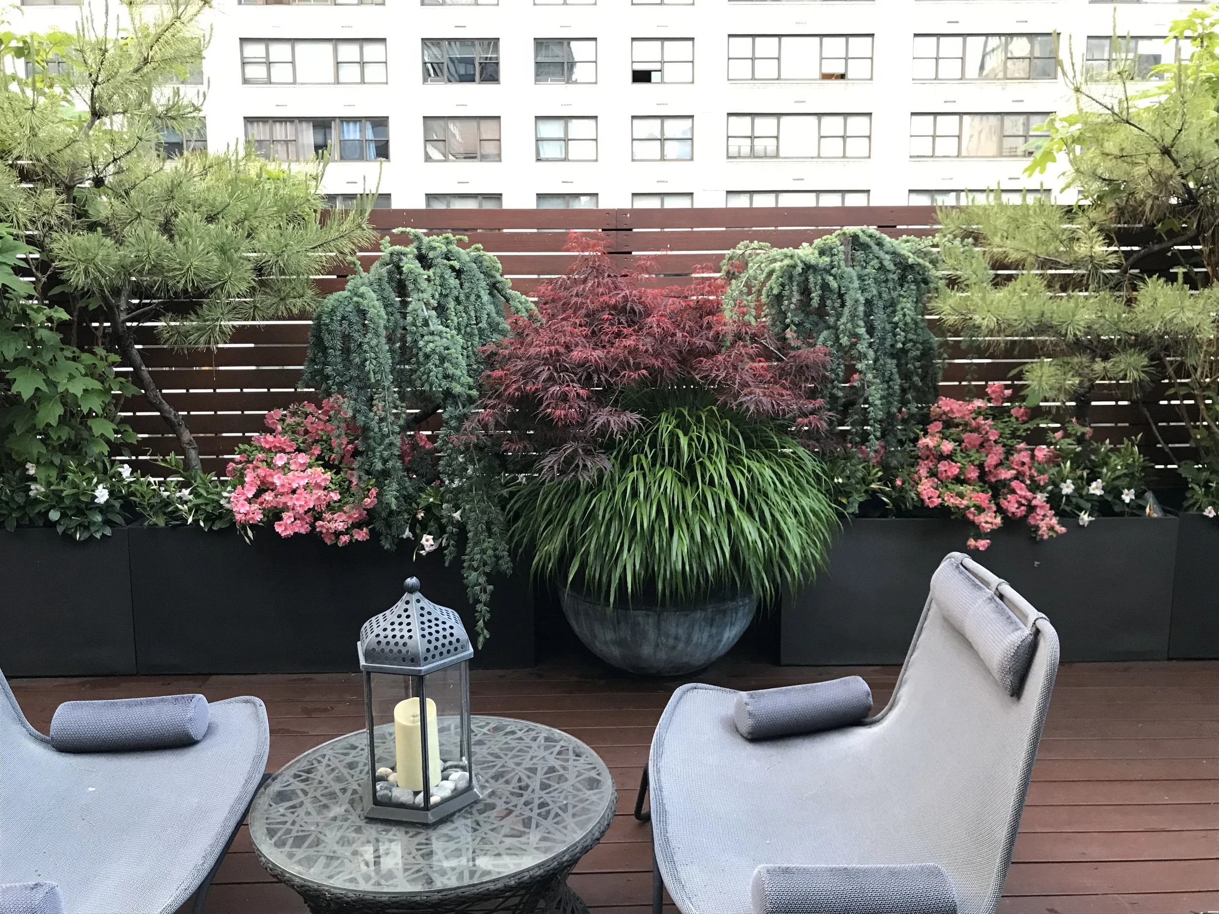 11 14 Loft North Terrace .jpg