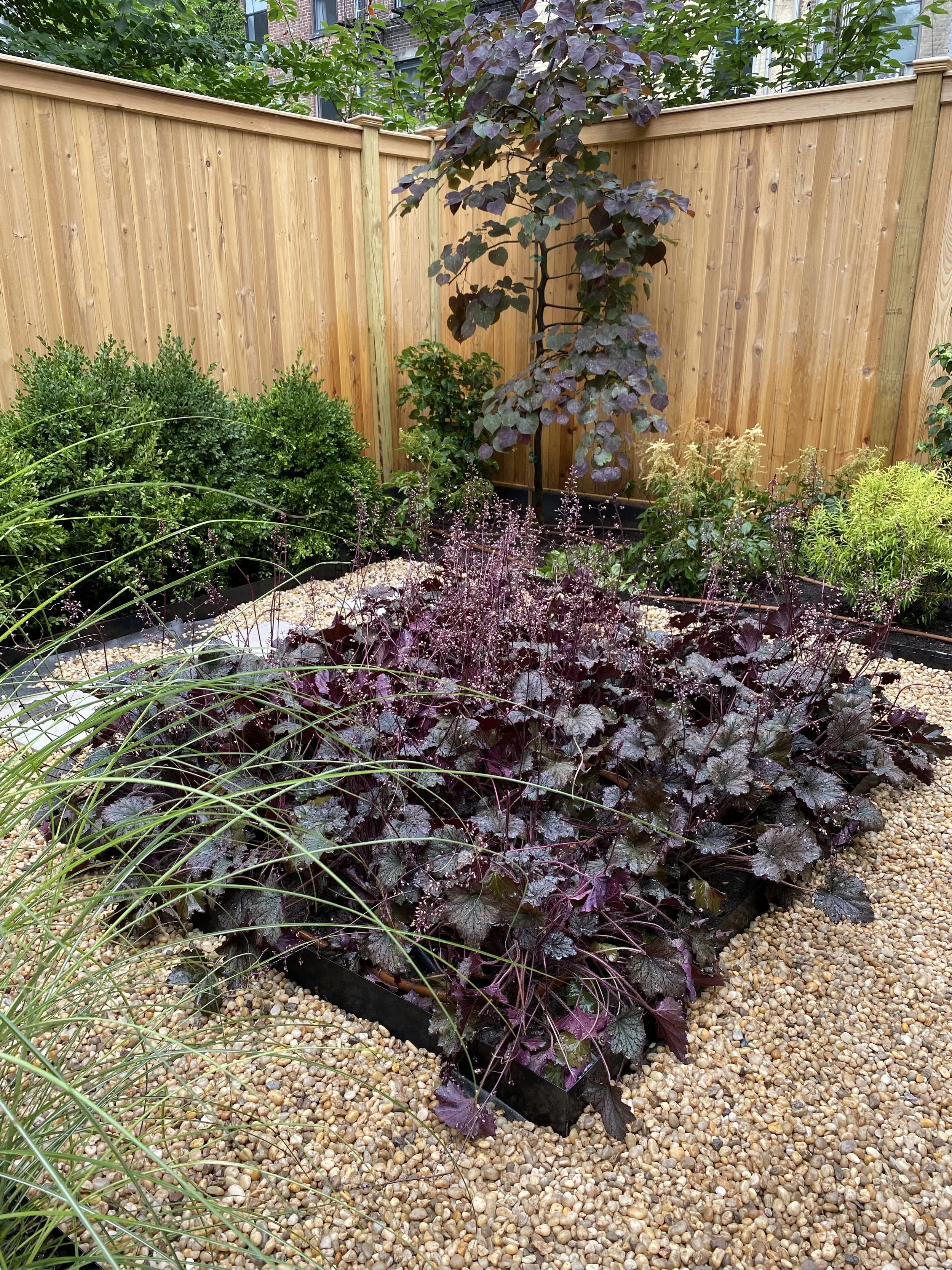 9 -Hell's Kitchen after 4.jpg