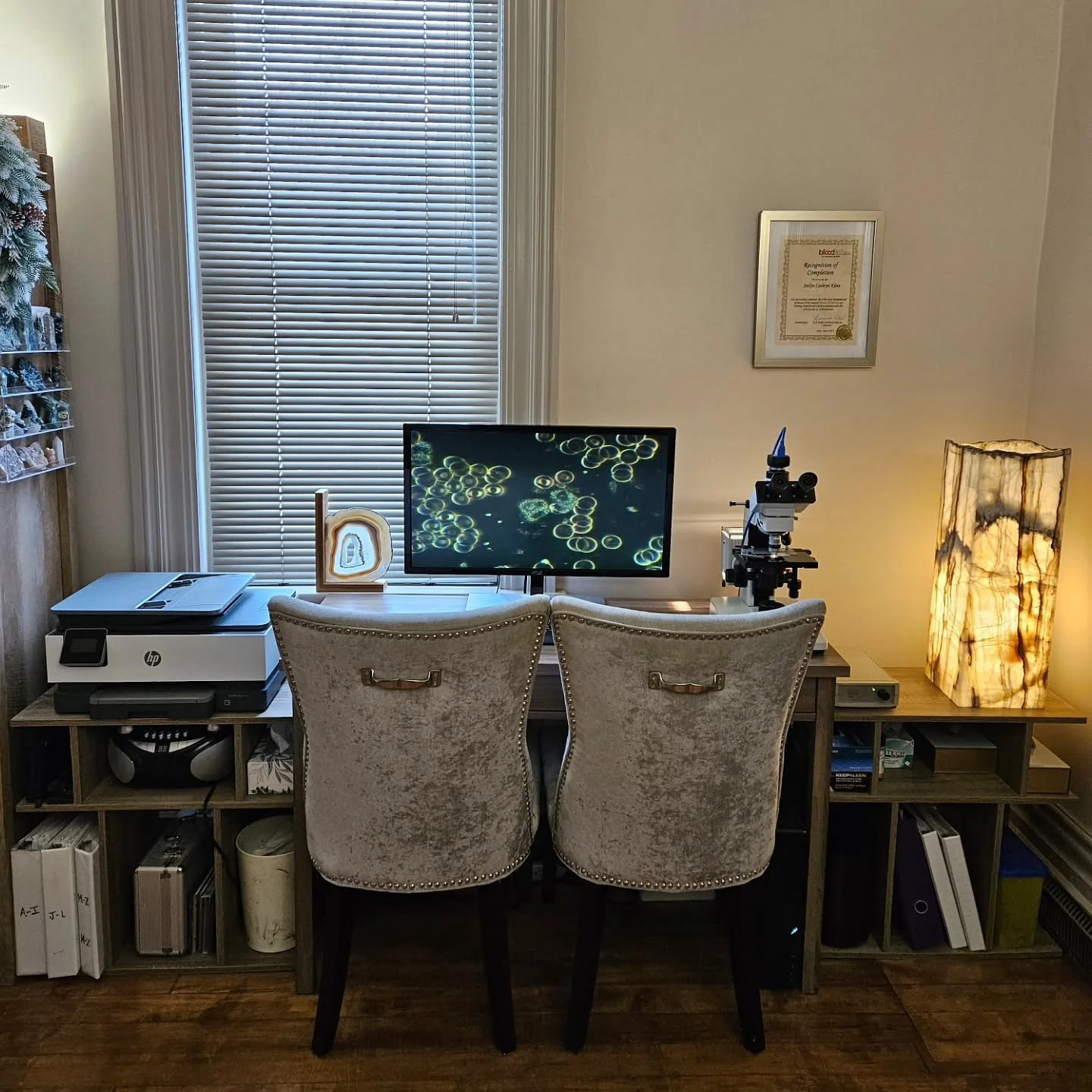 Live Blood Analysis 🔬

A single drop of blood is examined live under a high-powered microscope to observe red cells, white cells, platelets, and plasma. 

This is a great preventative way to check in on imbalances, stress, immune activity, fungal fo