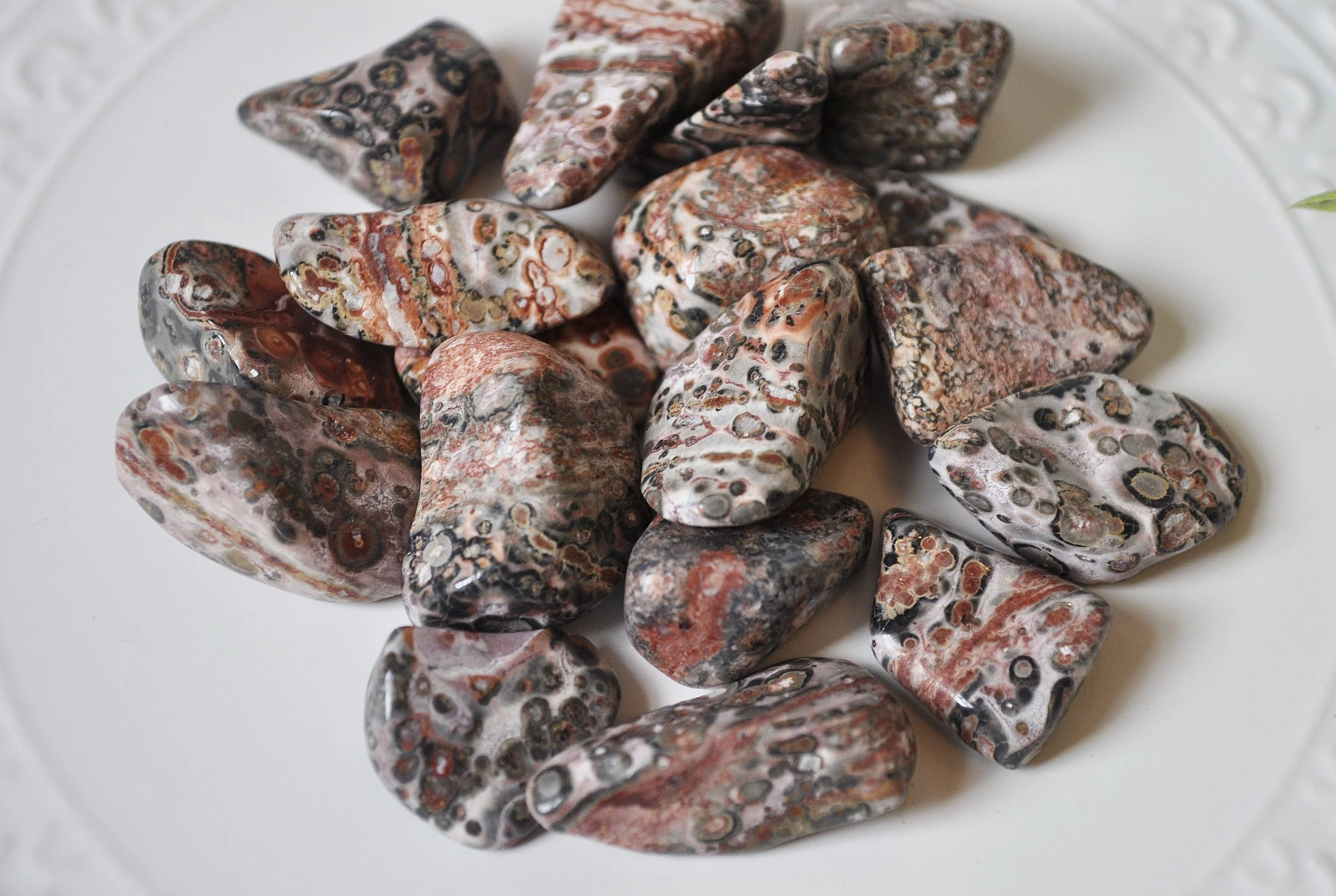 Leopard Skin Jasper Tumbled Gemstones