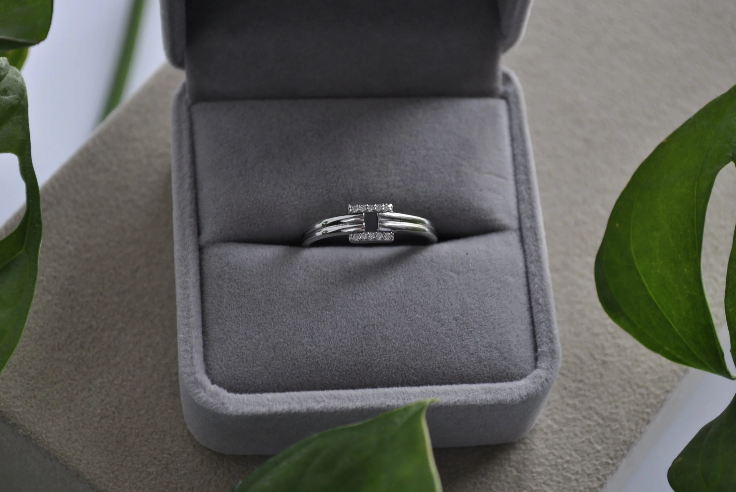 _DSC1041_edited_edited (1).jpg