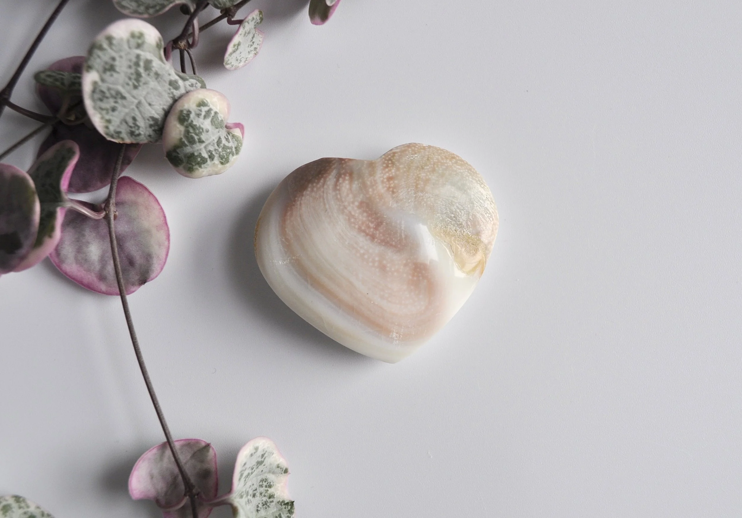 _DSC1072_edited_edited (1).jpg