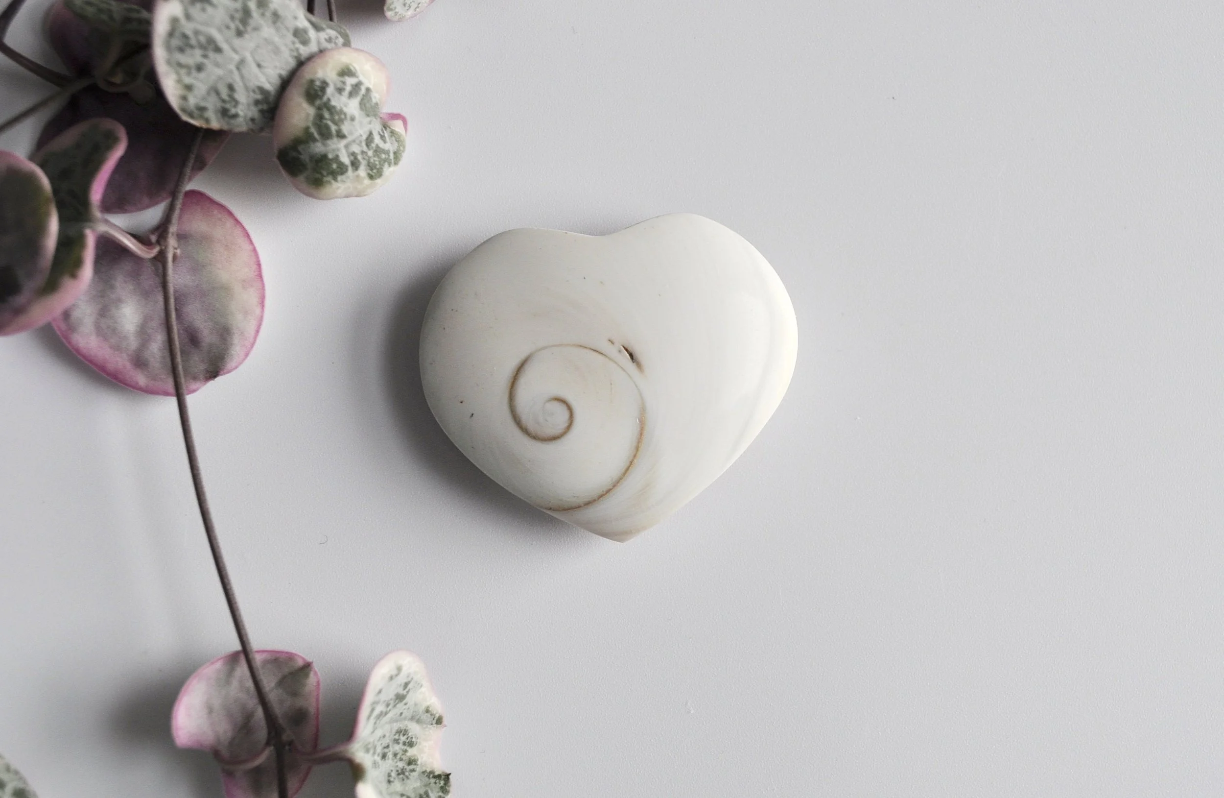 _DSC1075_edited_edited (1).jpg