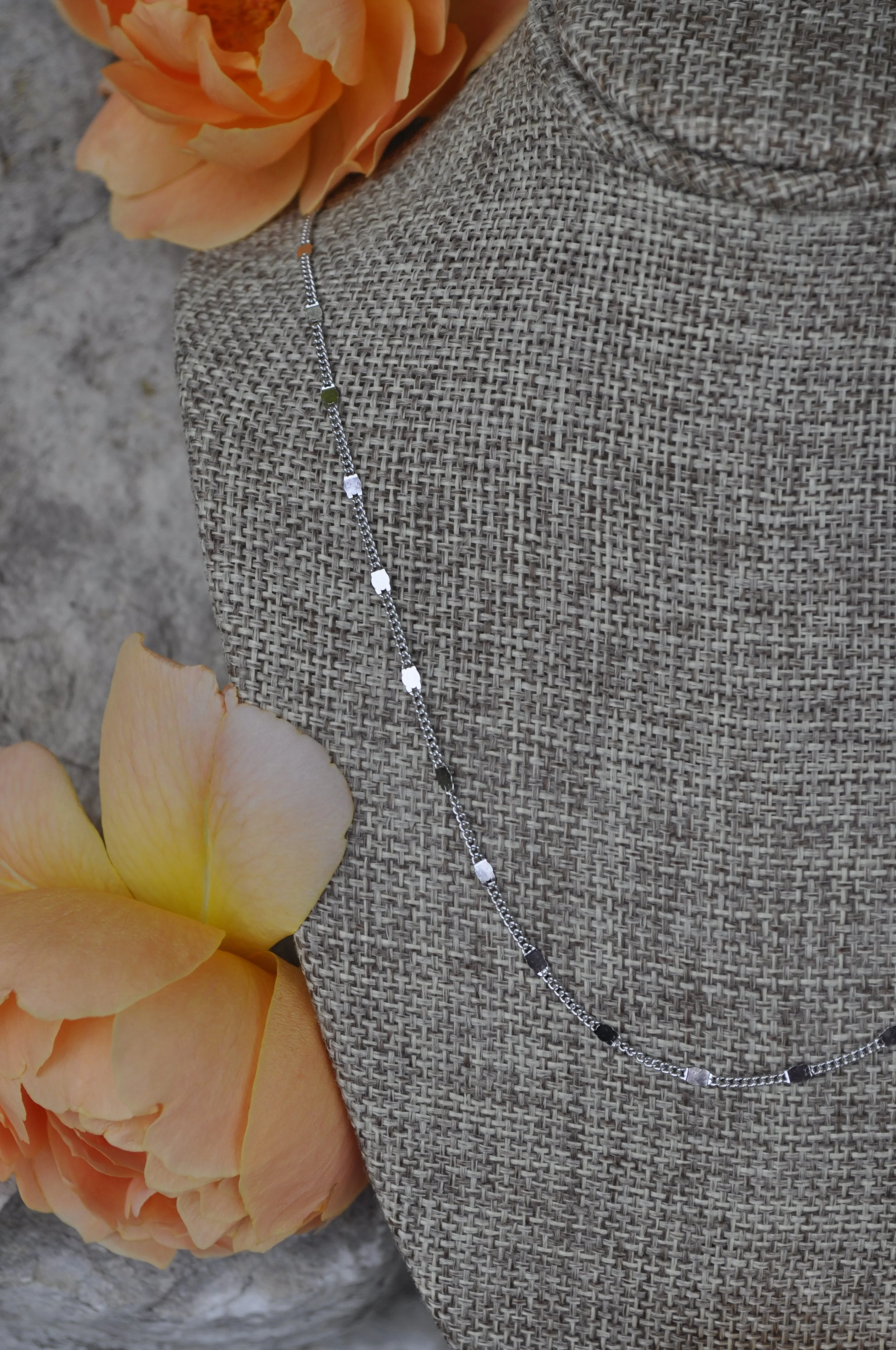 _DSC1356.JPG