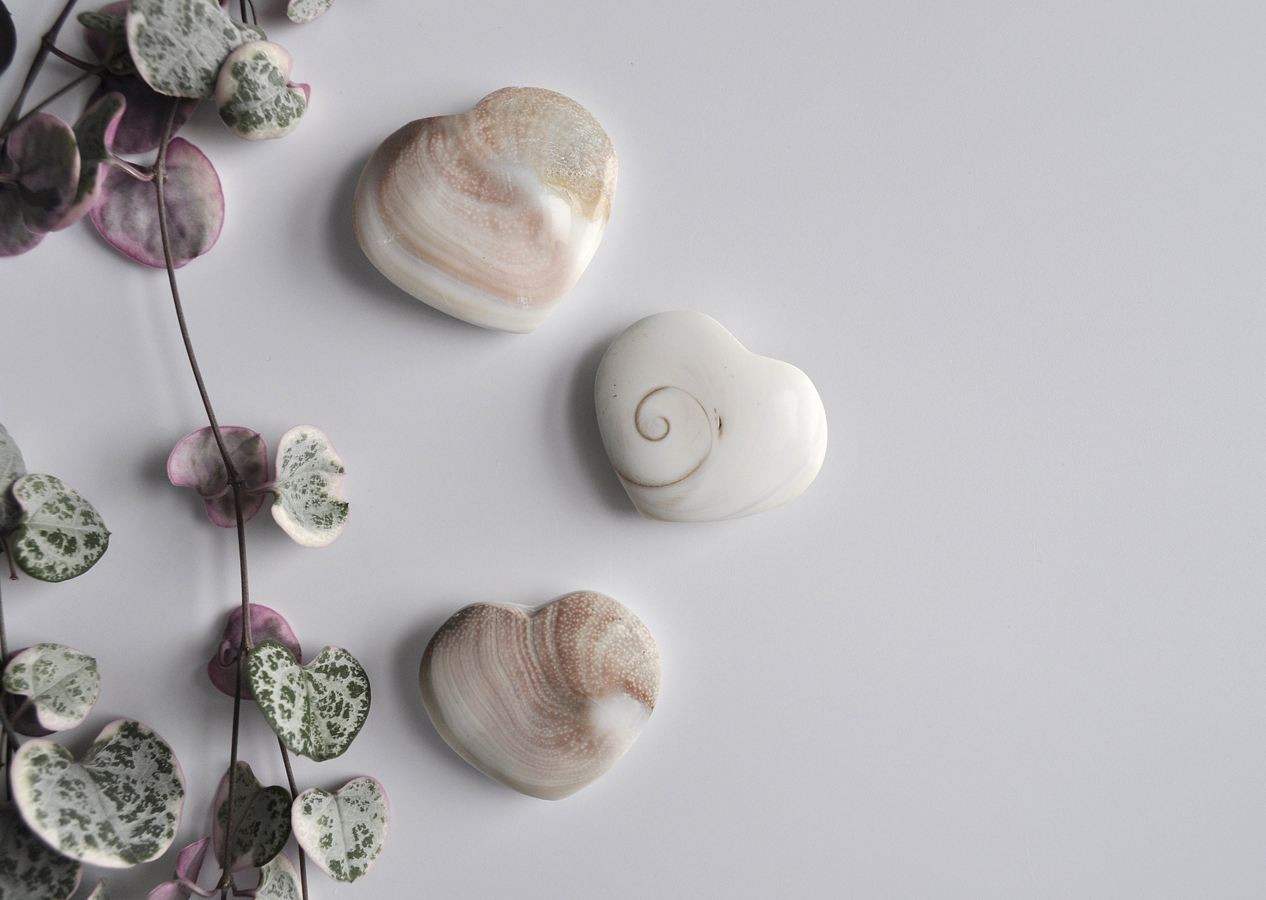 Shiva Shell Gemstone Hearts