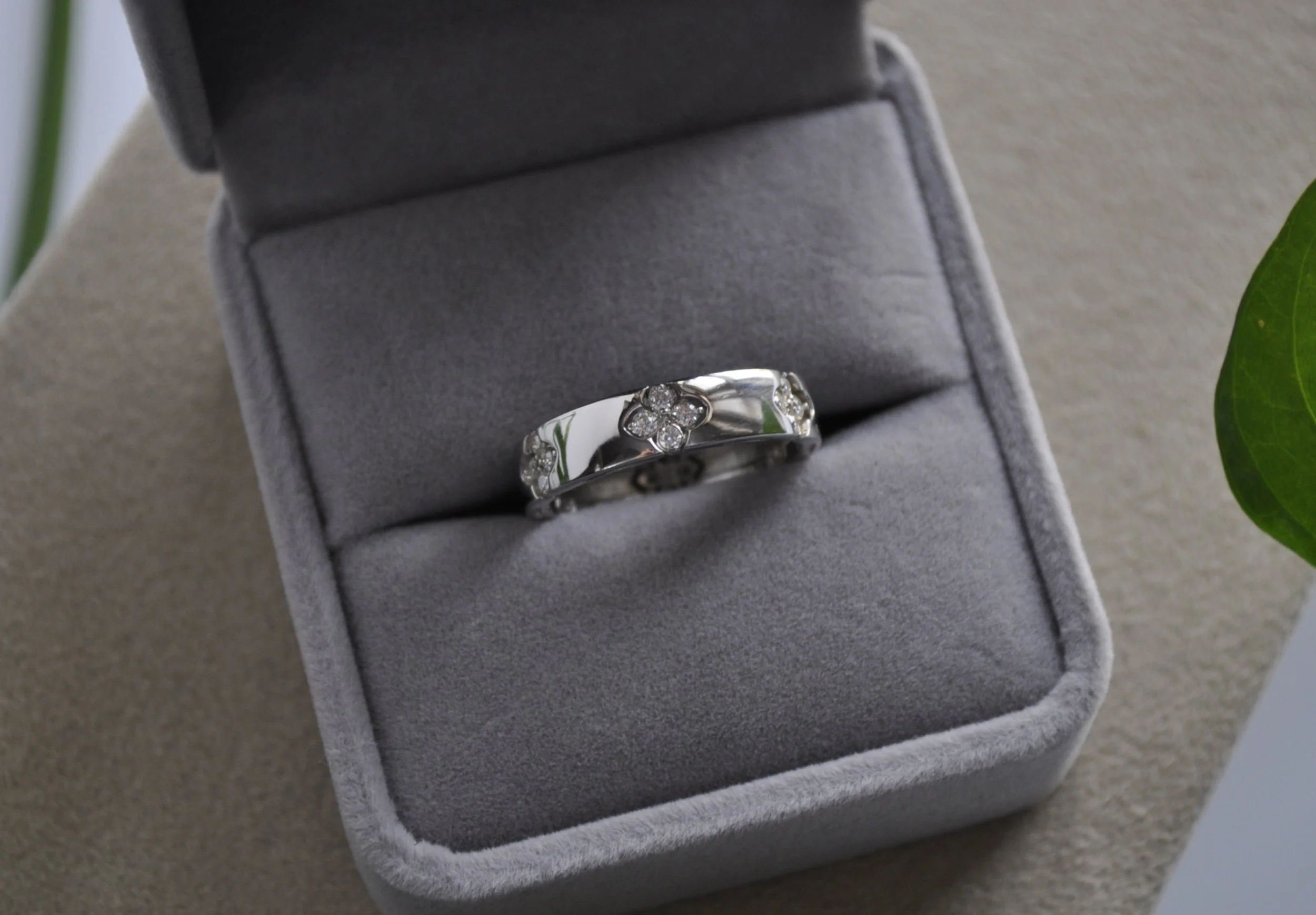 _DSC0991_edited_edited (1).jpg