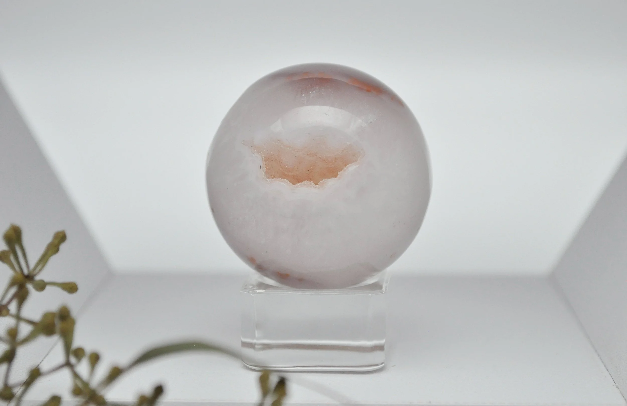 _DSC1343_edited_edited (1).jpg