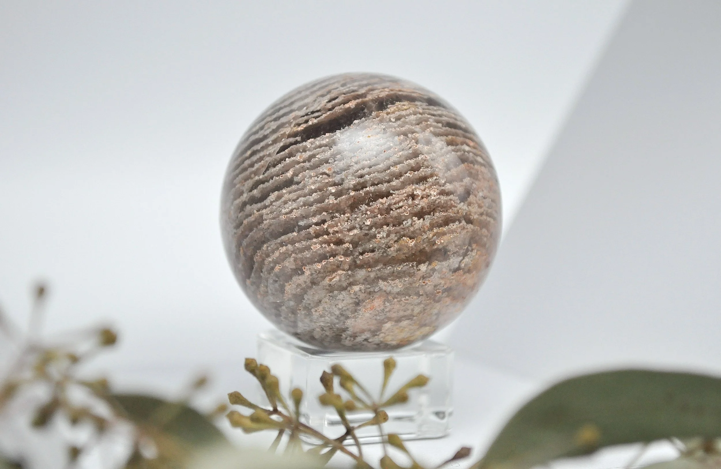 _DSC0991_edited_edited (2).jpg