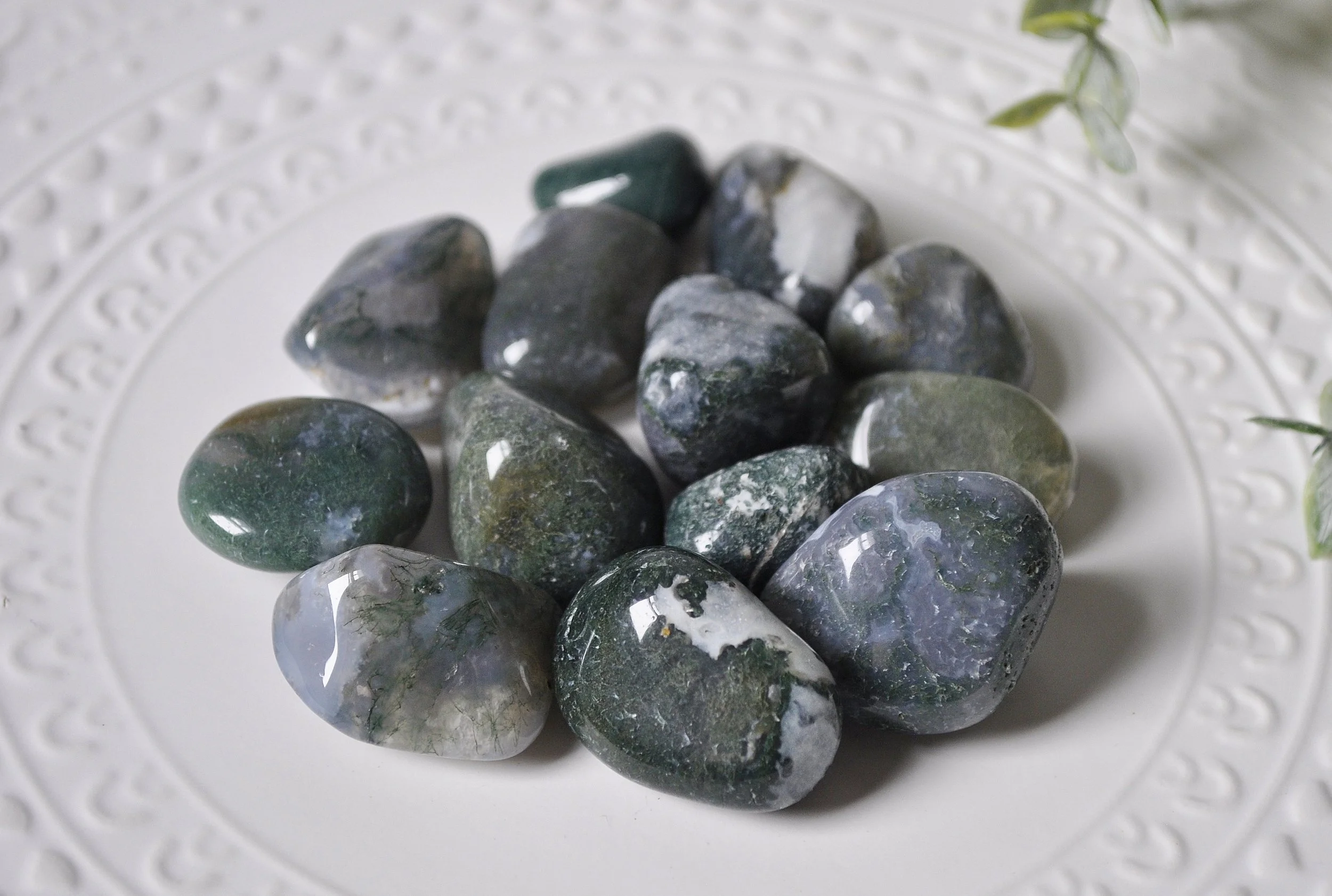 Moss Agate Tumbled Gemstones