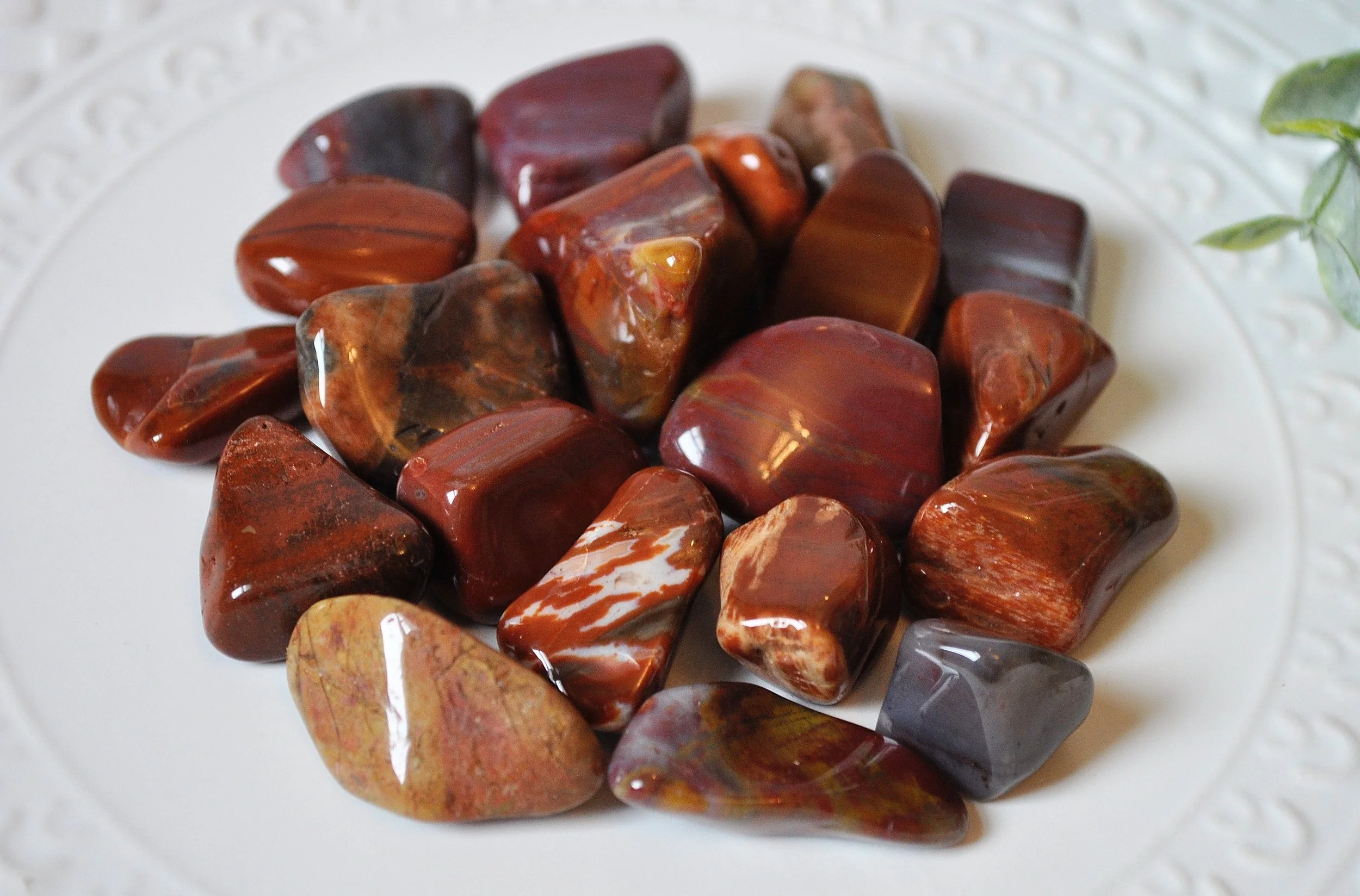 Petrified Wood Tumbled Gemstones