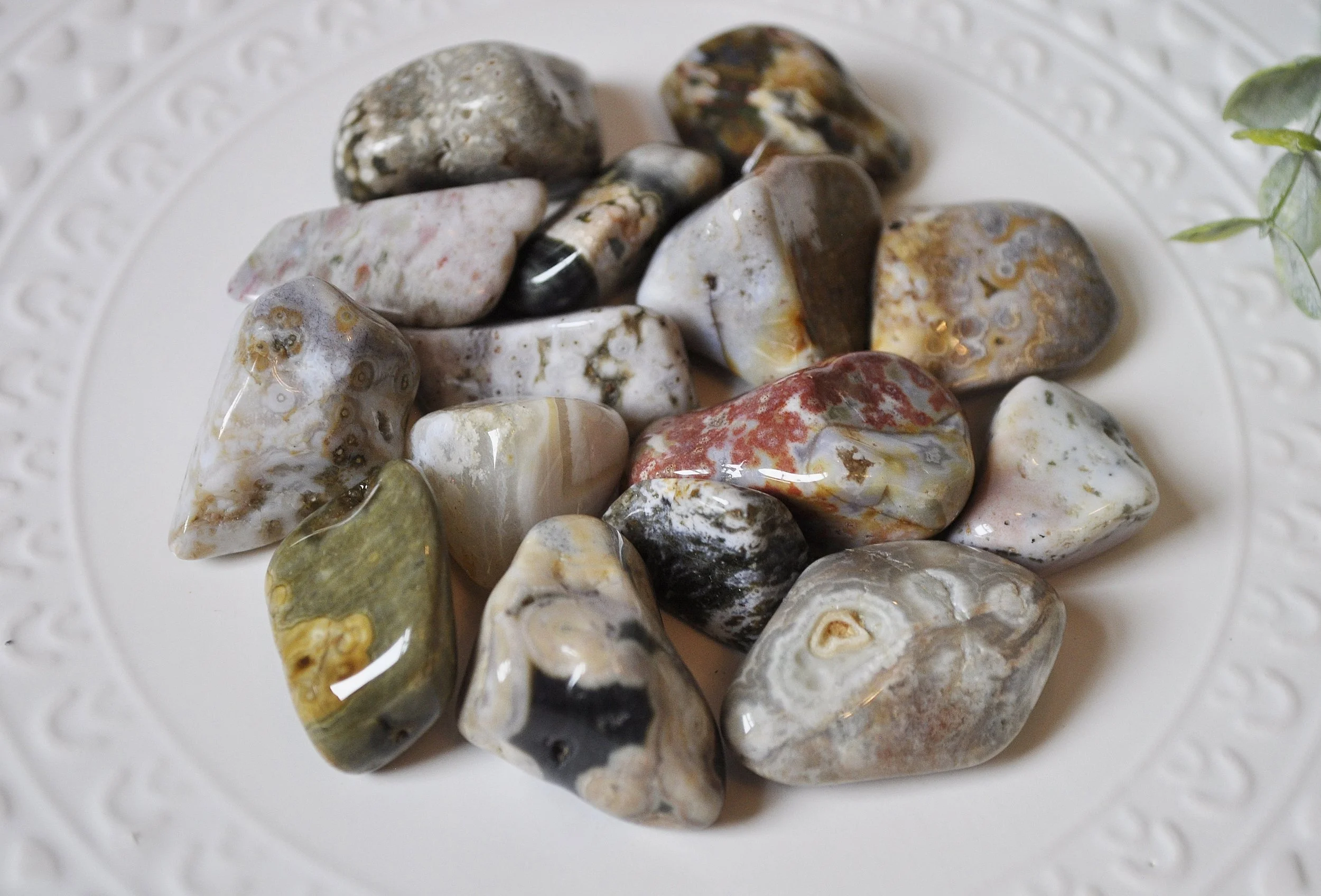 Ocean Jasper Tumbled Gemstones