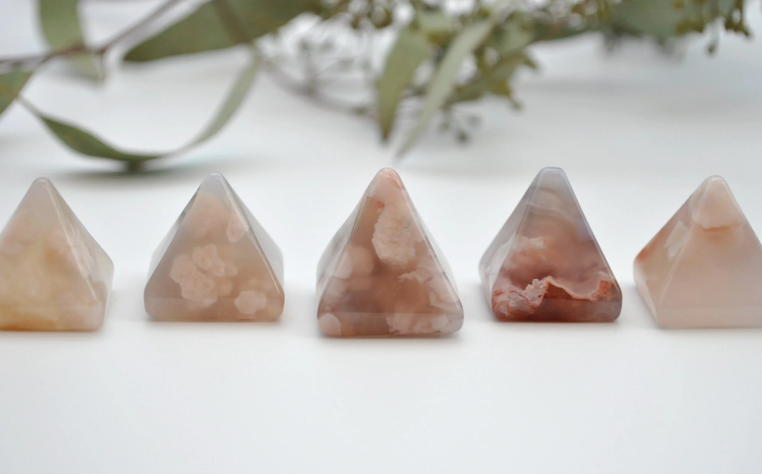 _DSC1077_edited_edited (1).jpg