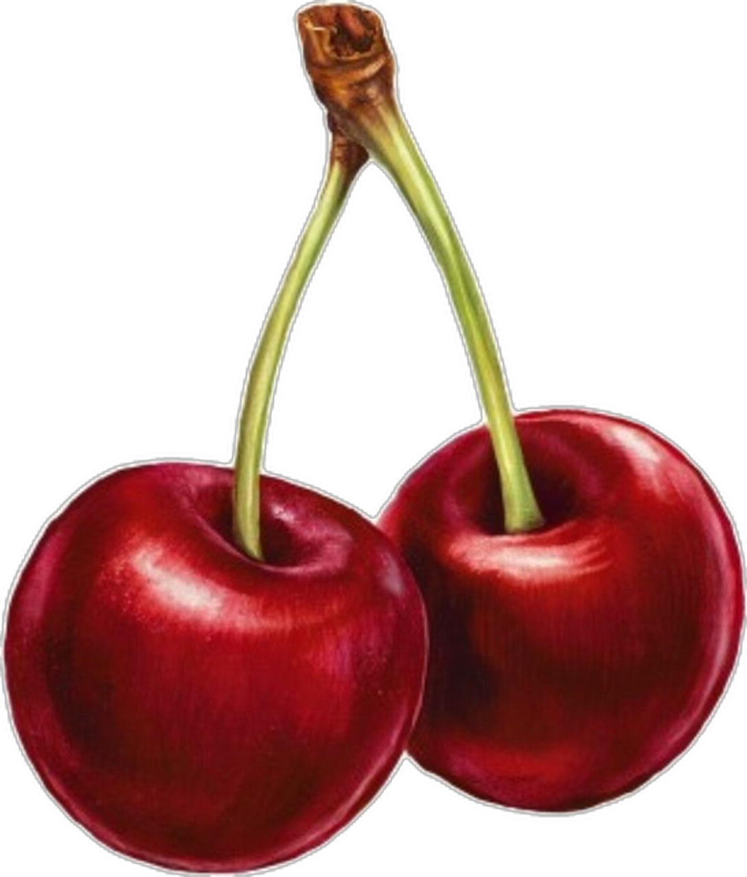 Two red cherries with green stems against a black background.