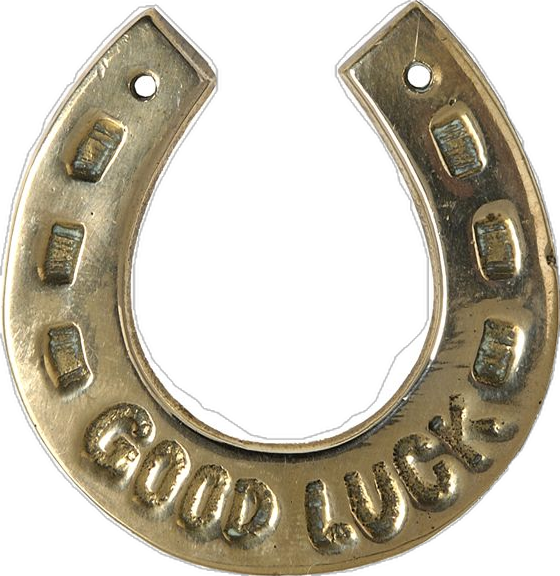 Close-up of a small metallic horseshoe with the words "GOOD LUCK" engraved on it.