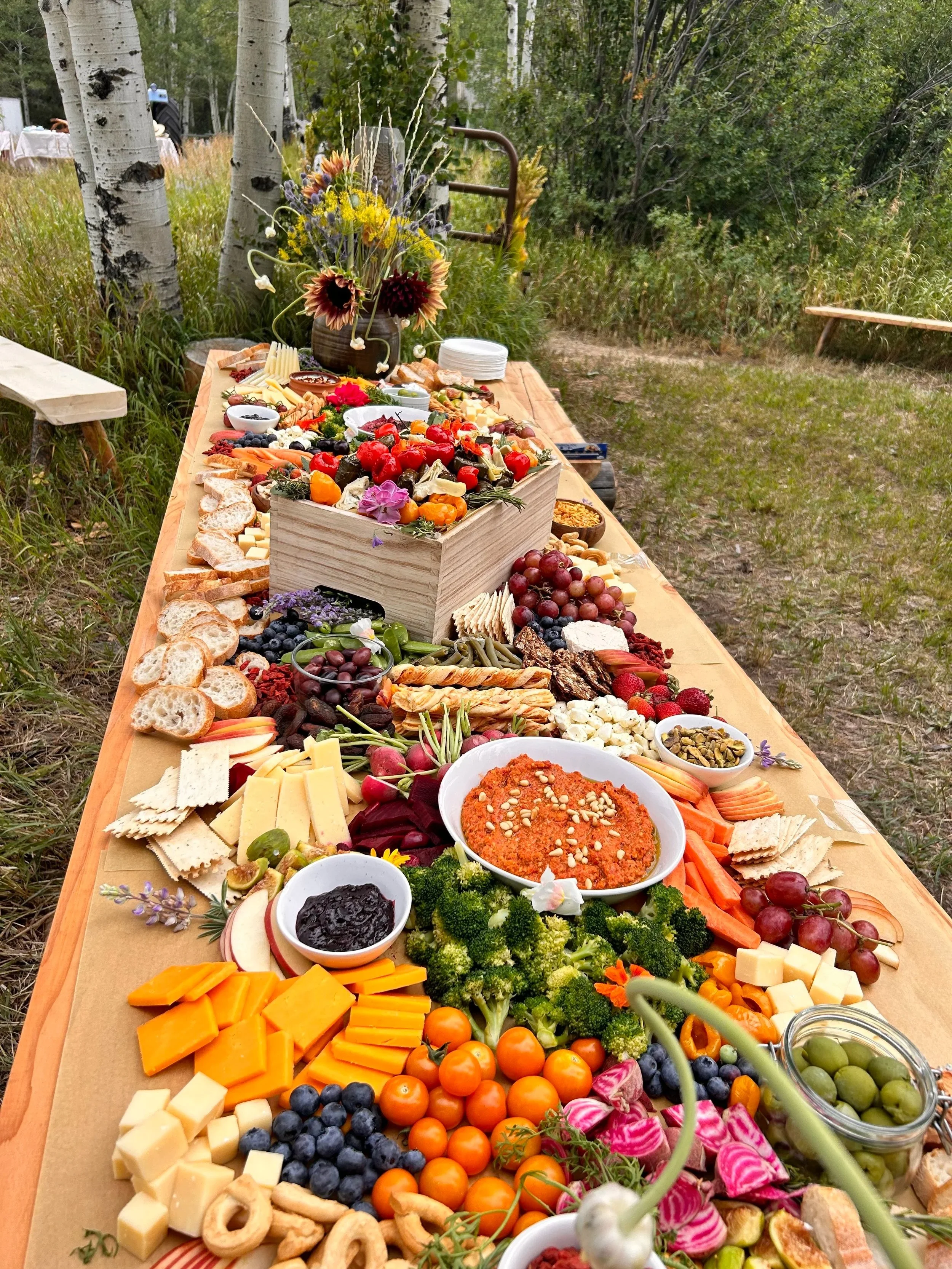 An outdoor picnic table laden with a variety of cheeses, fruits, vegetables, dips, and snacks, set amidst trees and greenery.