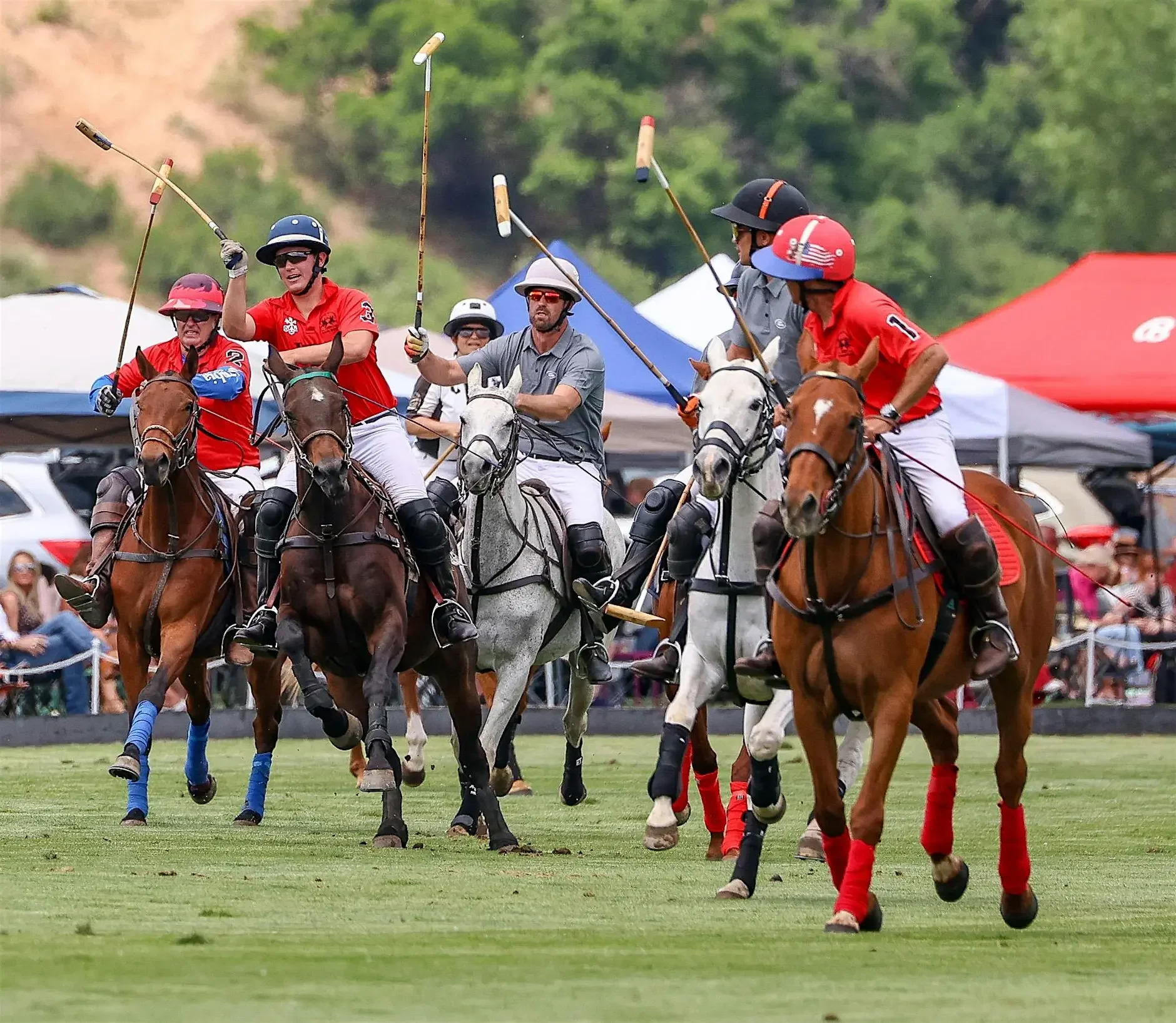 HOST: Denver Polo Club