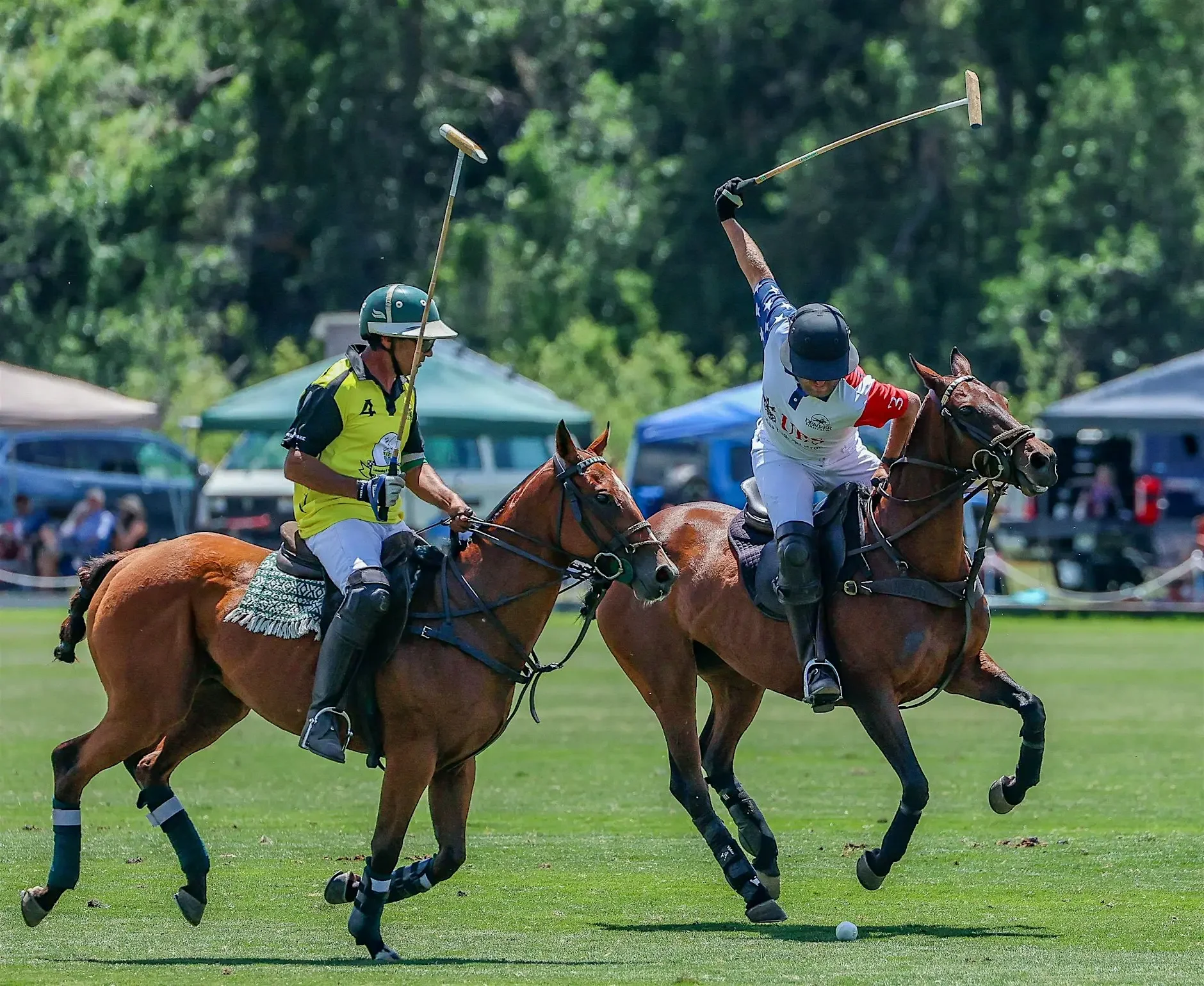 HOST: Denver Polo Club 