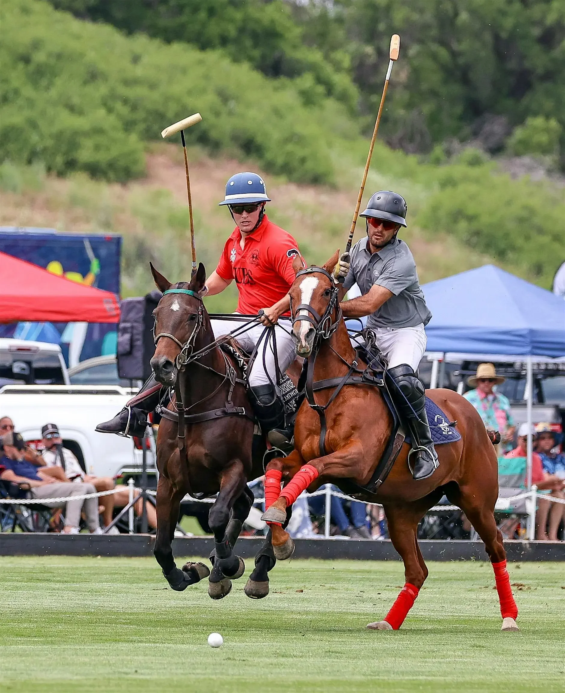 HOST: Denver Polo Club