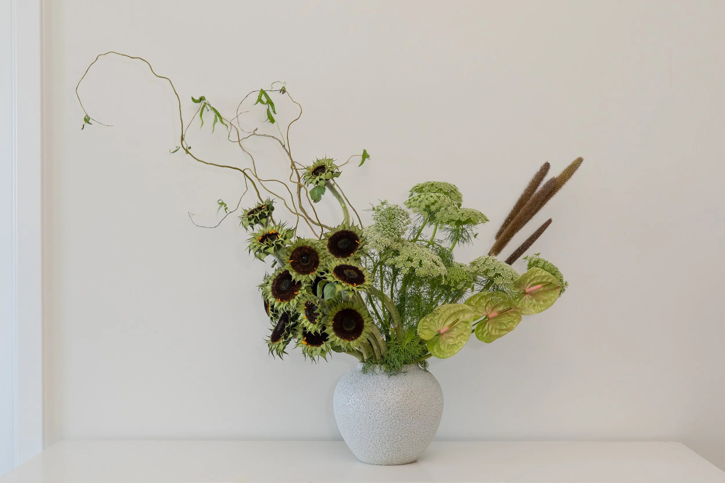 Sculptural green floral arrangement with dark sunflowers and curling branches in an ivory vase.
