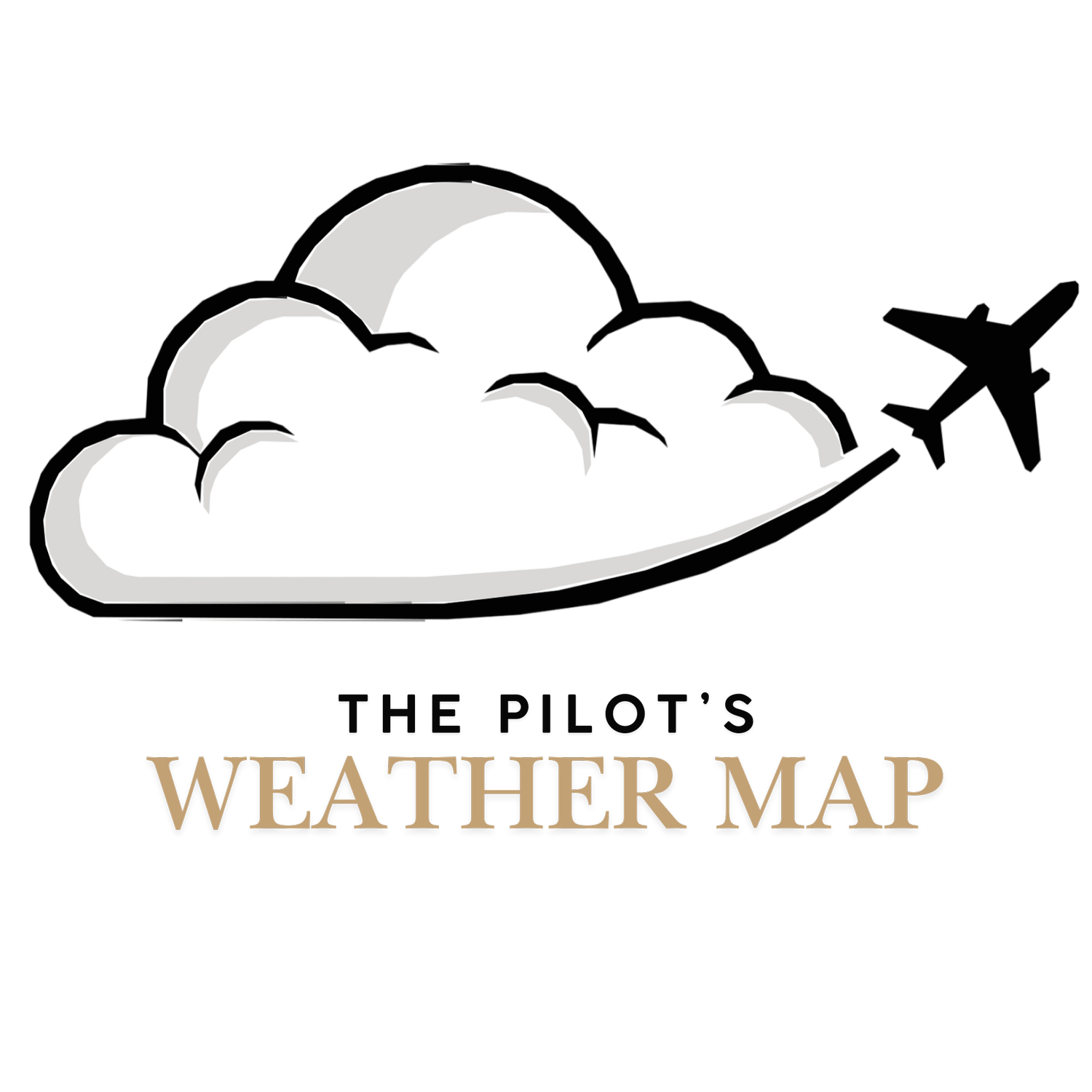 The Pilot's Weather Map