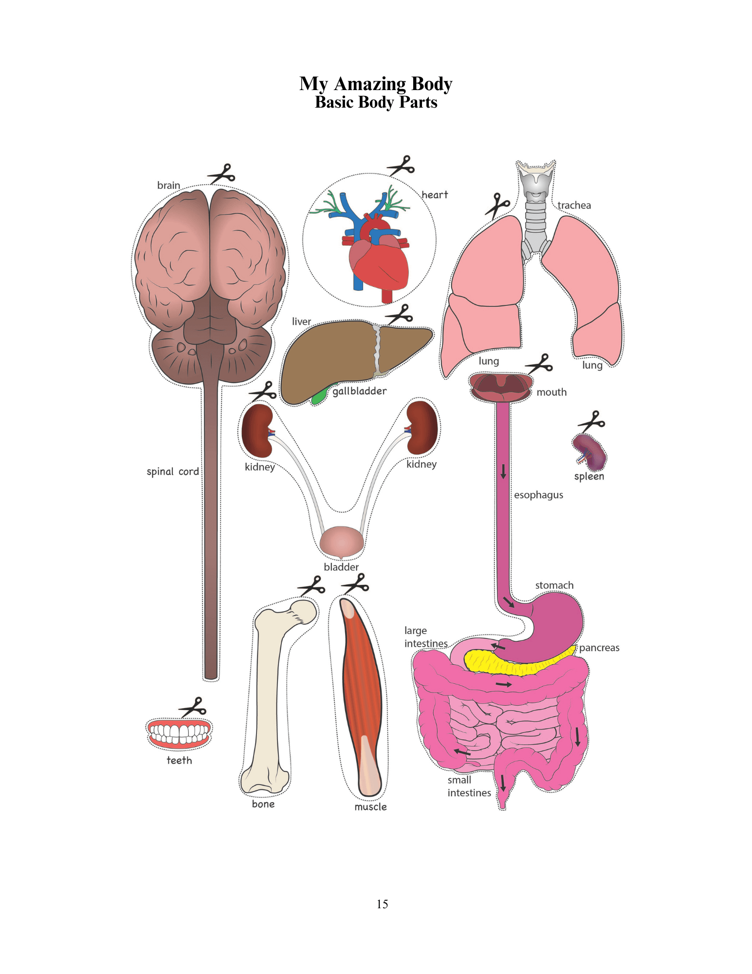 my-awesome-body-project_preview01.png