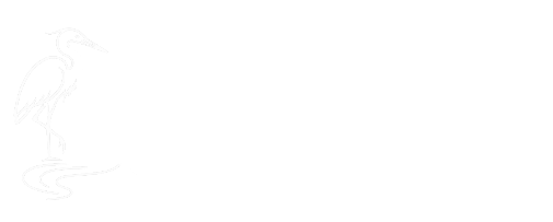 Renewal River