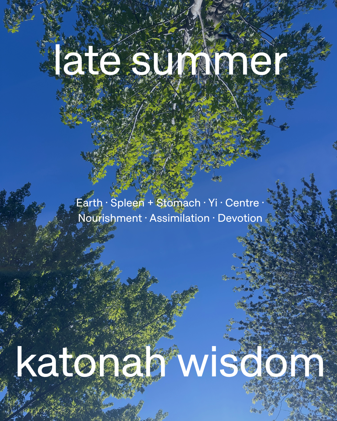 Late Summer Katonah Wisdom
