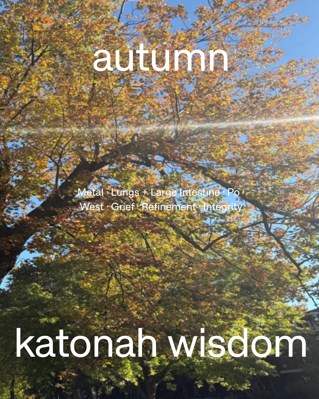 Autumn Katonah Wisdom