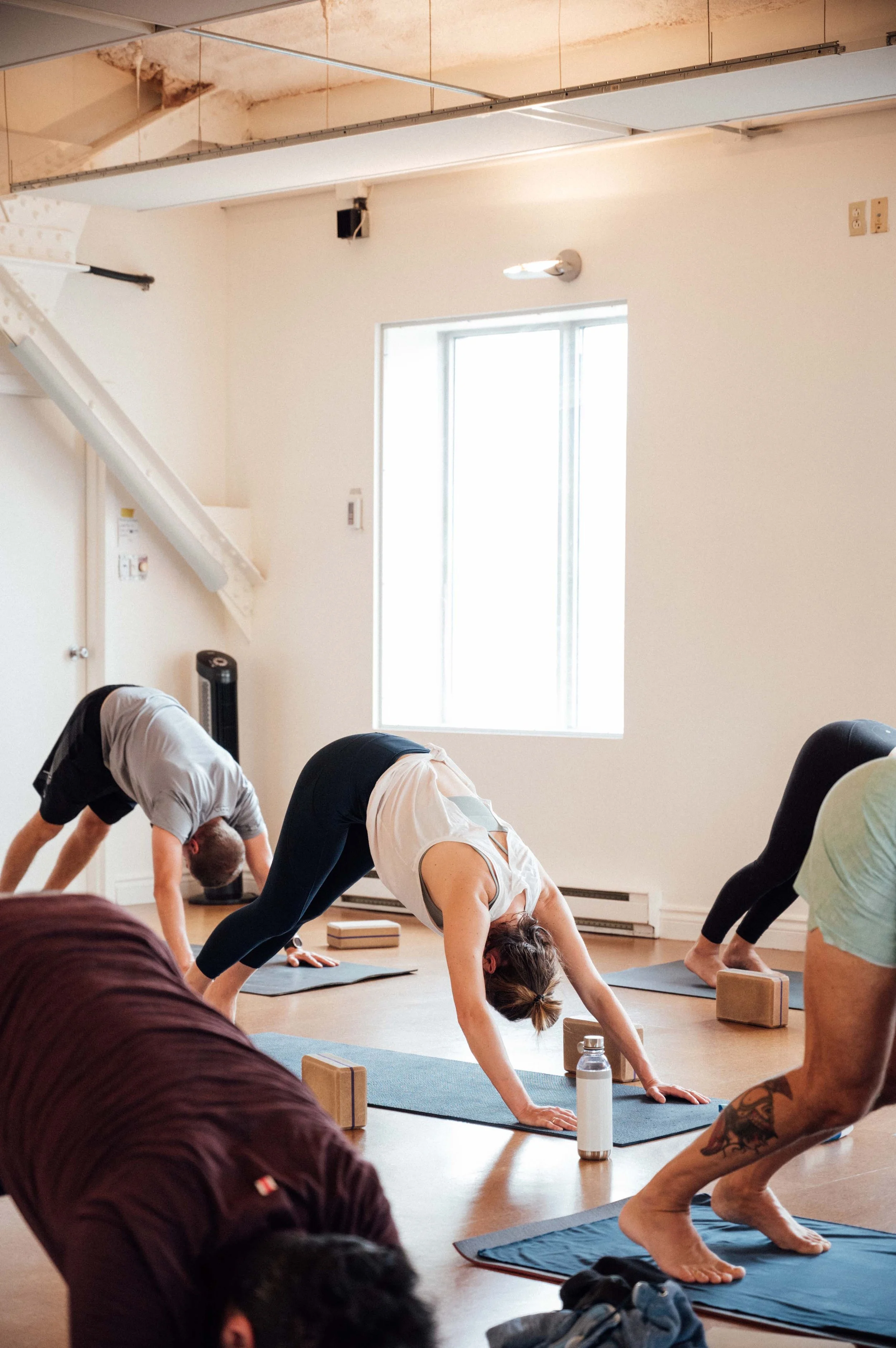 Students in downward dog in a yoga class